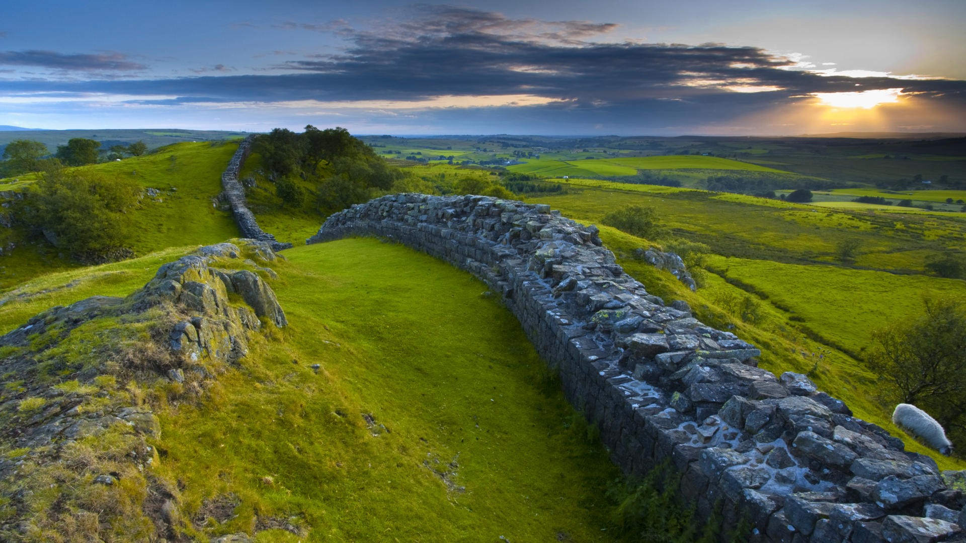 Wall HD Wallpaper