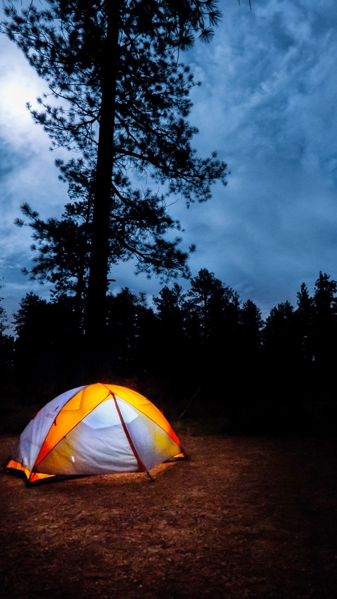 Camping Fire Forest Wallpaper Download  MOONAZ