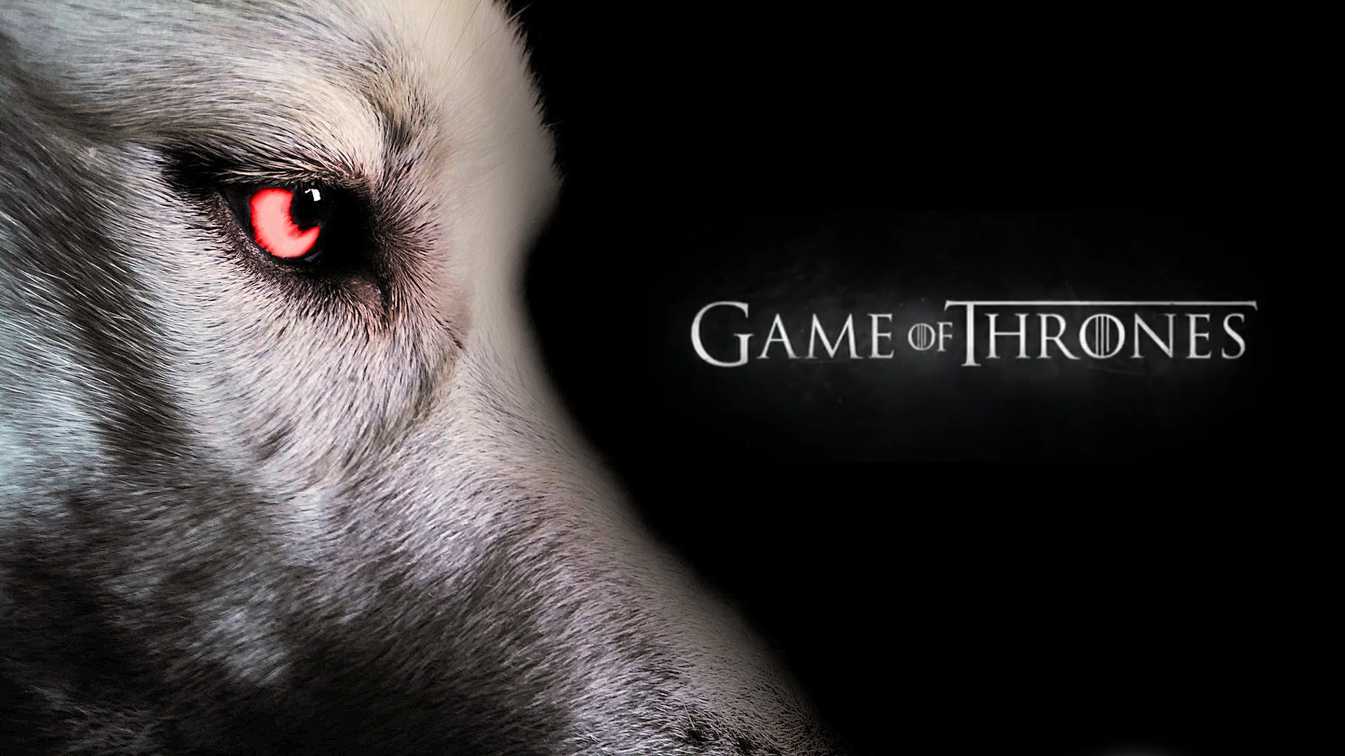 game of thrones ghost wallpaper