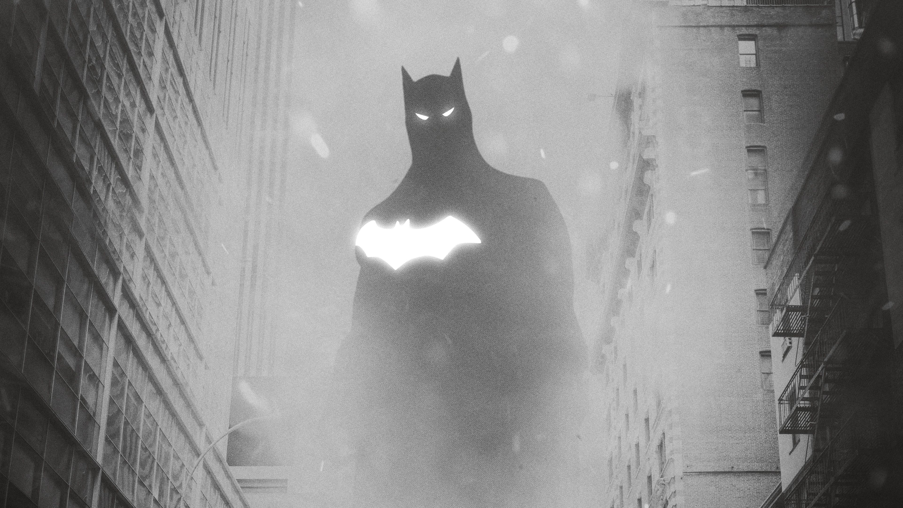 wallpapers hd superheroes,batman,black and white,whiskers,fictional character,snapshot,justice league,eye,cat,monochrome photography,superhero,