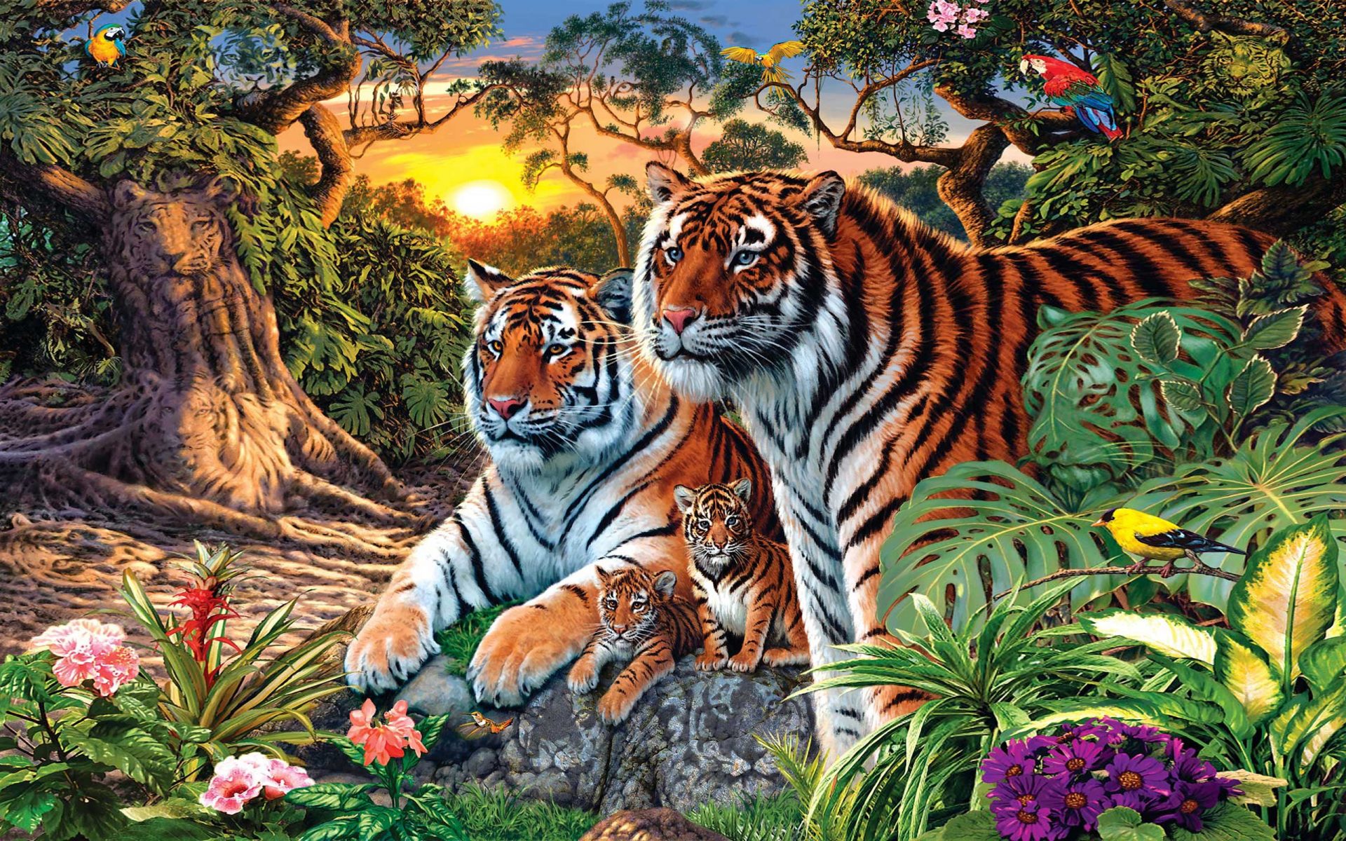 Tiger Family Wallpaper & Background Download