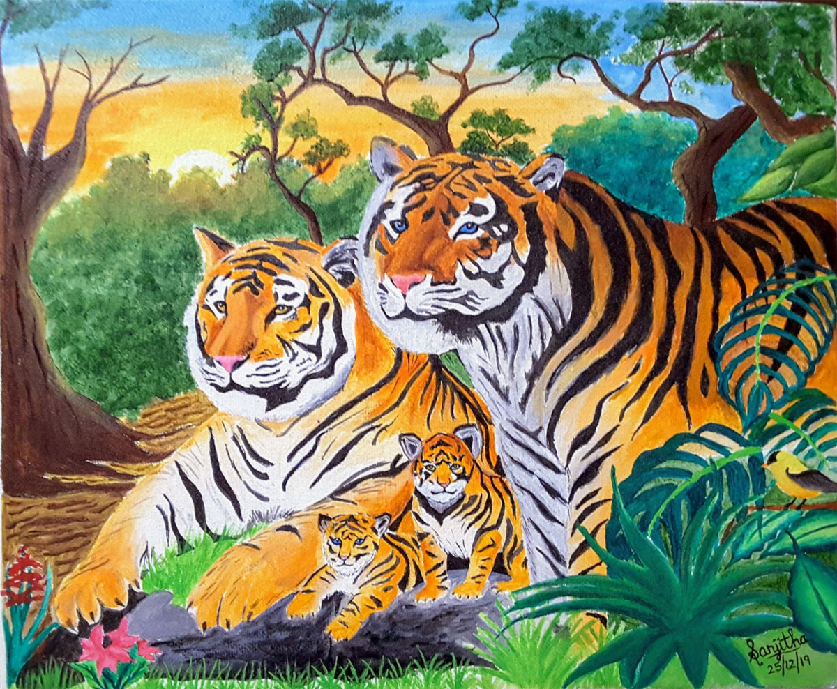 Meet this tiger family