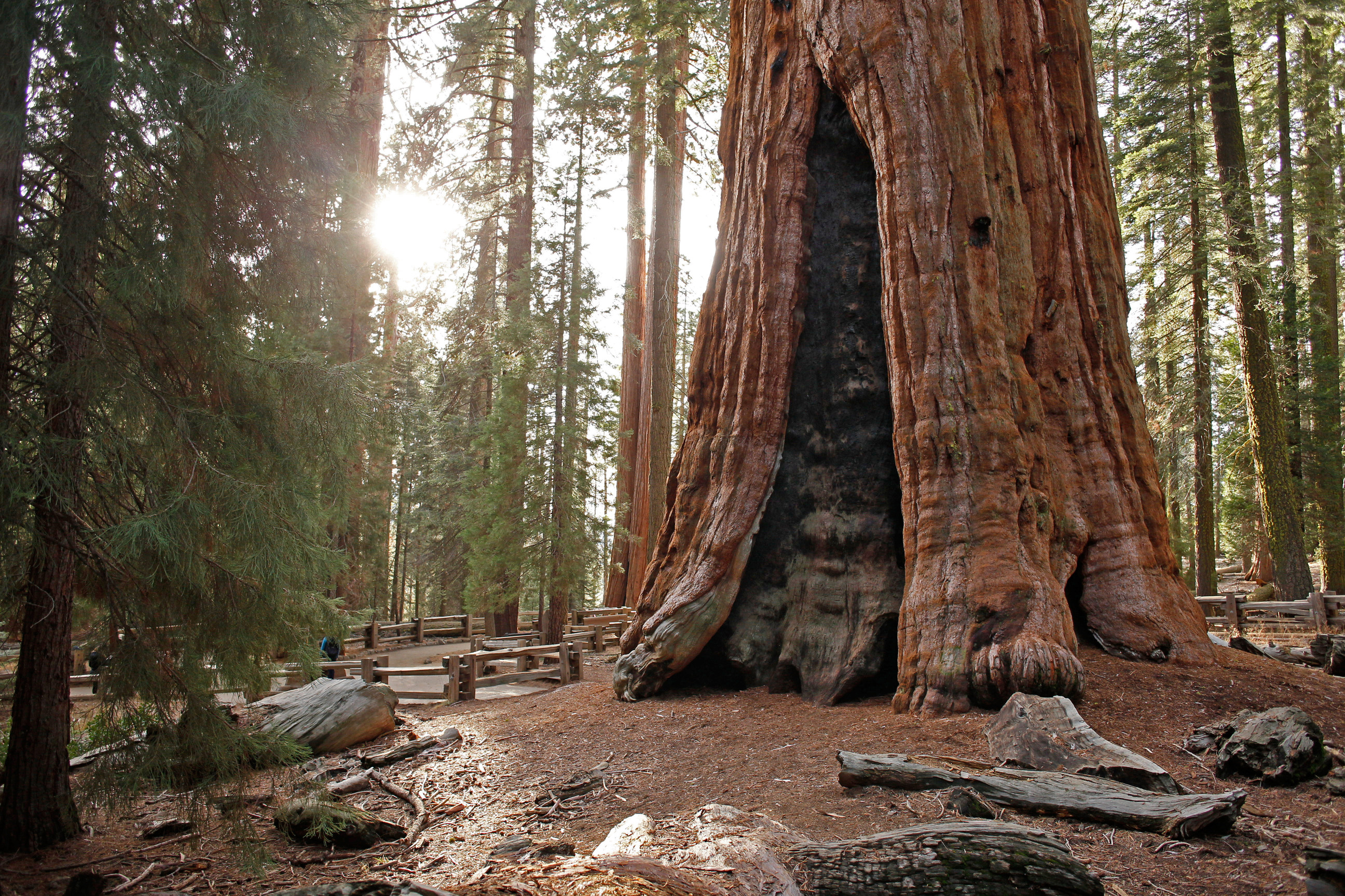 Photo Galleries & Kings Canyon National Parks (U.S. National Park Service)