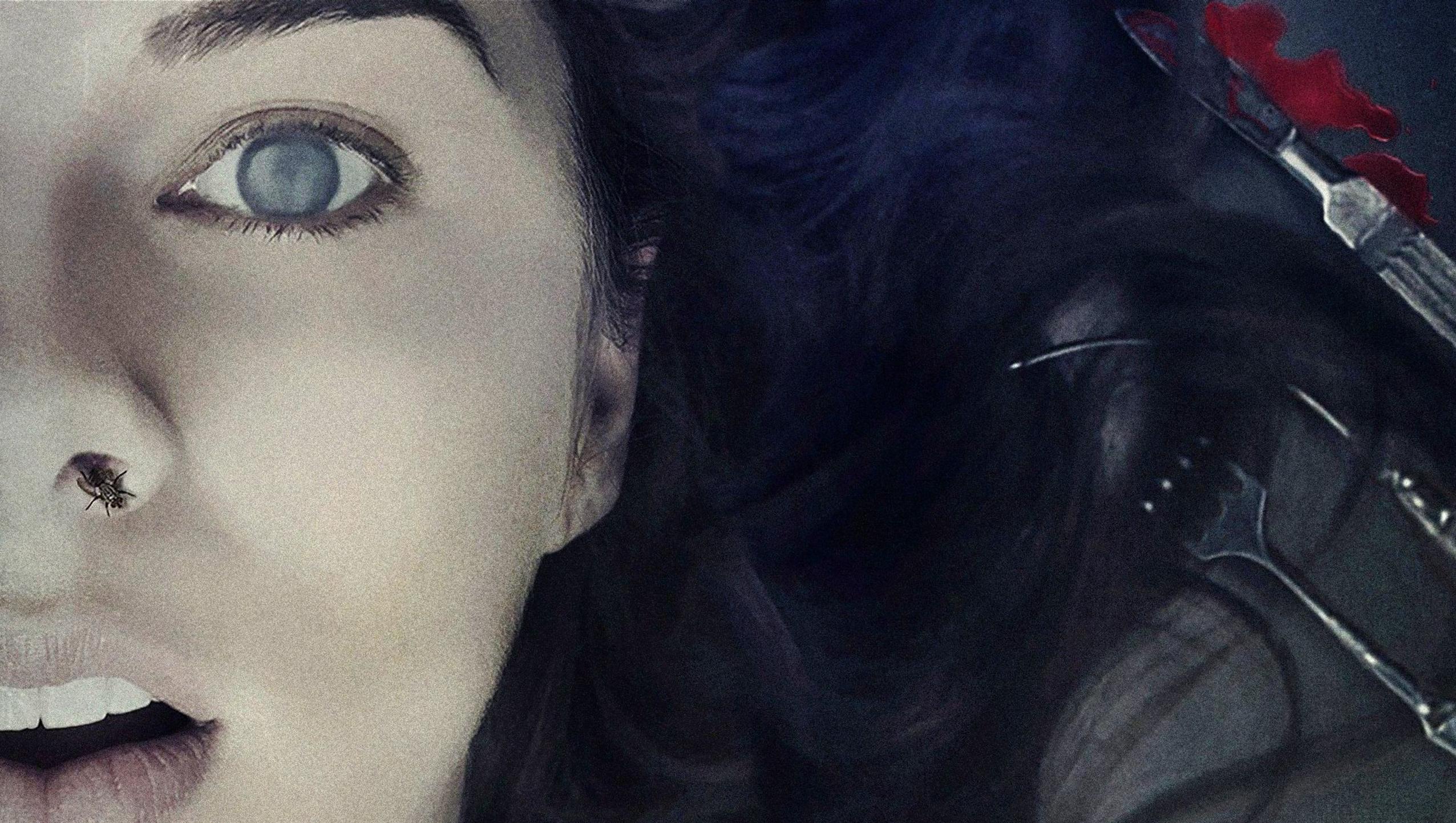 Olwen Catherine Kelly Wallpaper