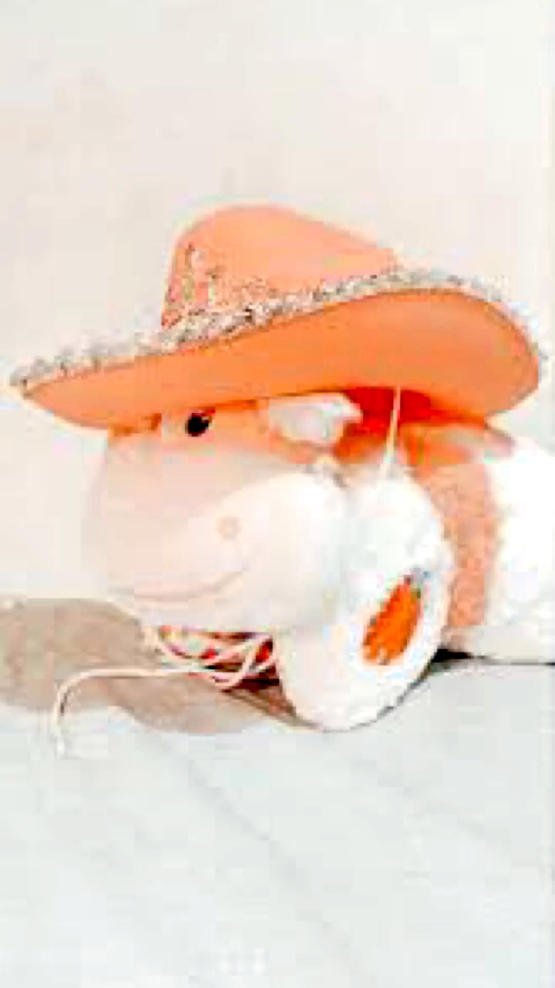 Buy Preppy Cowgirl Hat Online In India  Etsy India