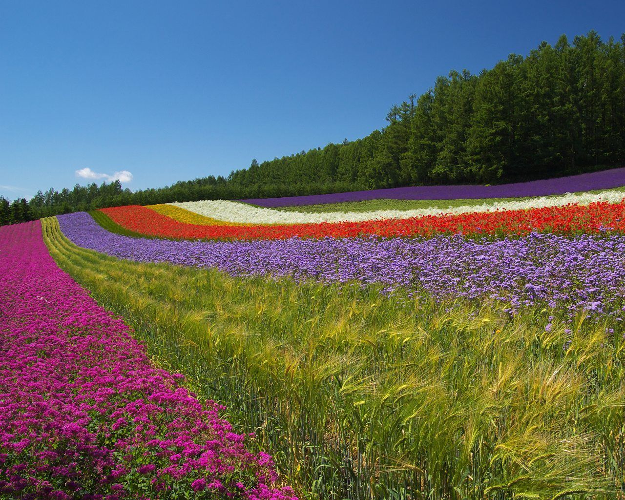 Japanese Farm Wallpaper Free Japanese Farm Background