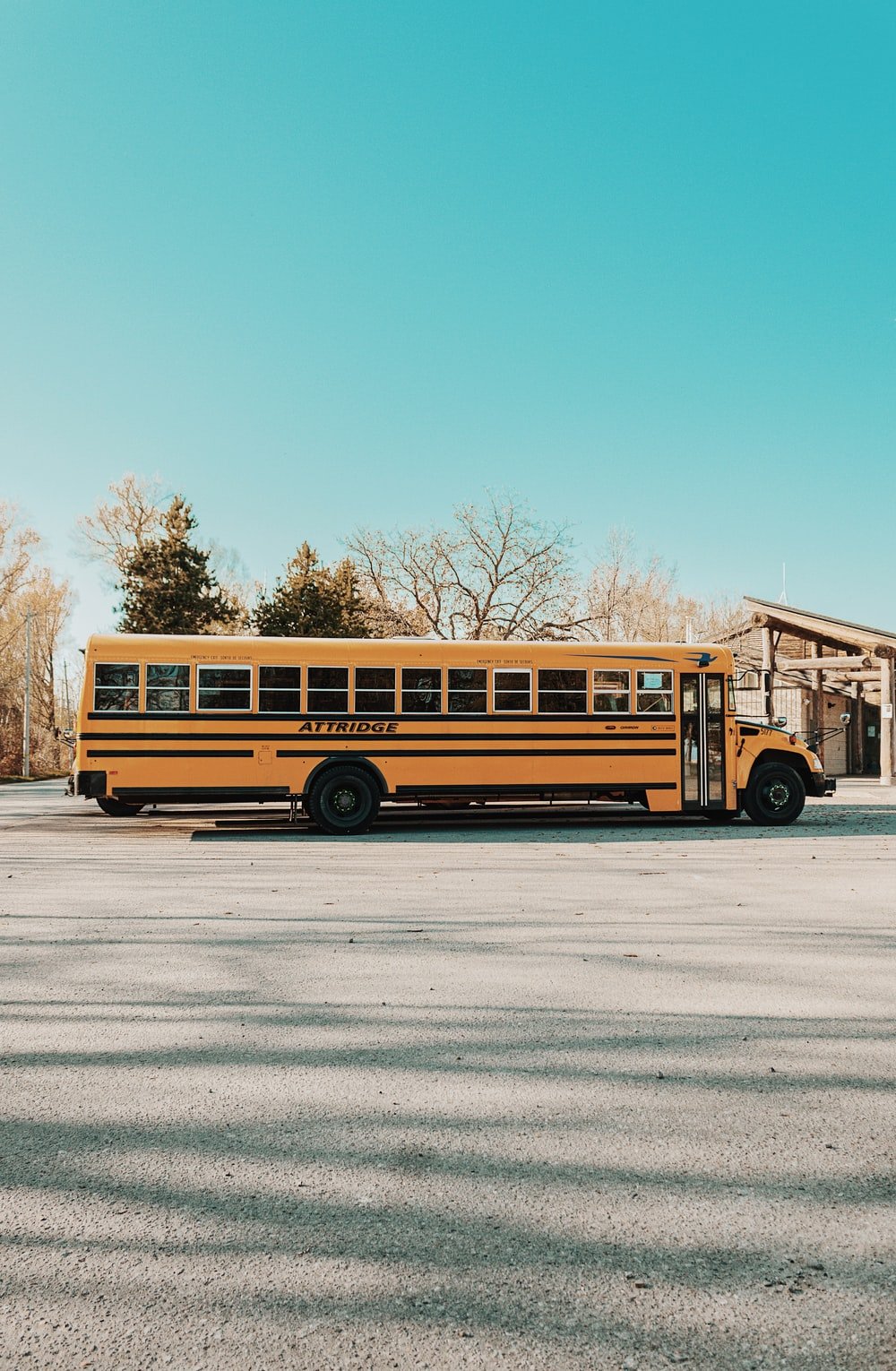 School Bus Picture. Download Free Image