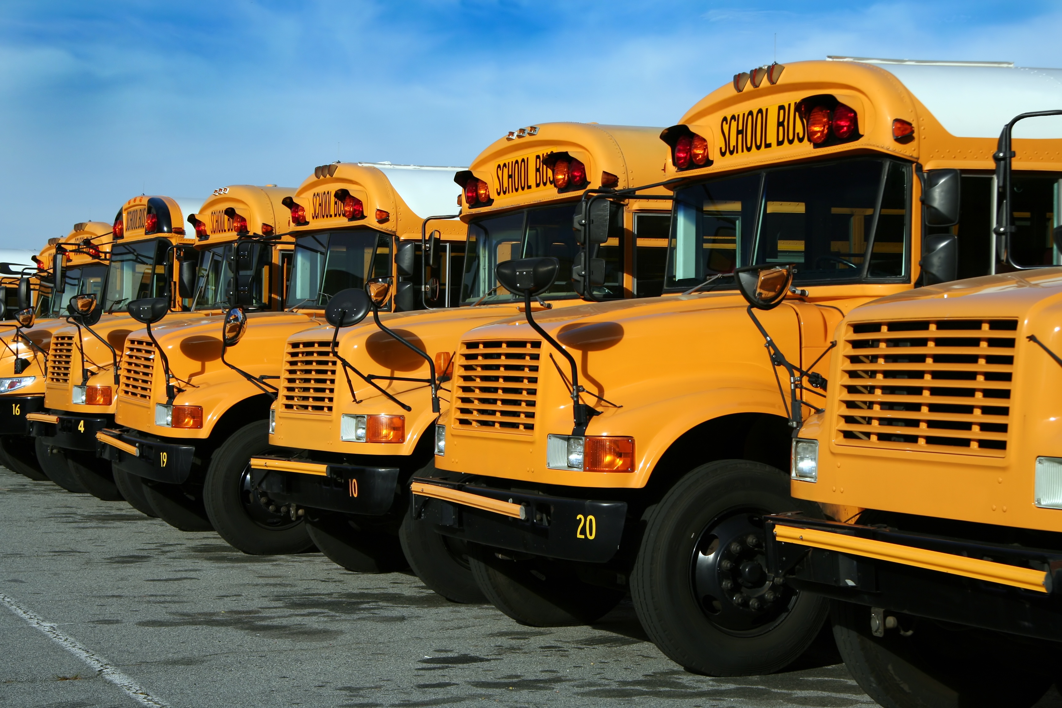 Free download School Buses [3456x2304] for your Desktop, Mobile & Tablet. Explore School Bus Wallpaper. School Bus Wallpaper Border, Free School Bus Wallpaper