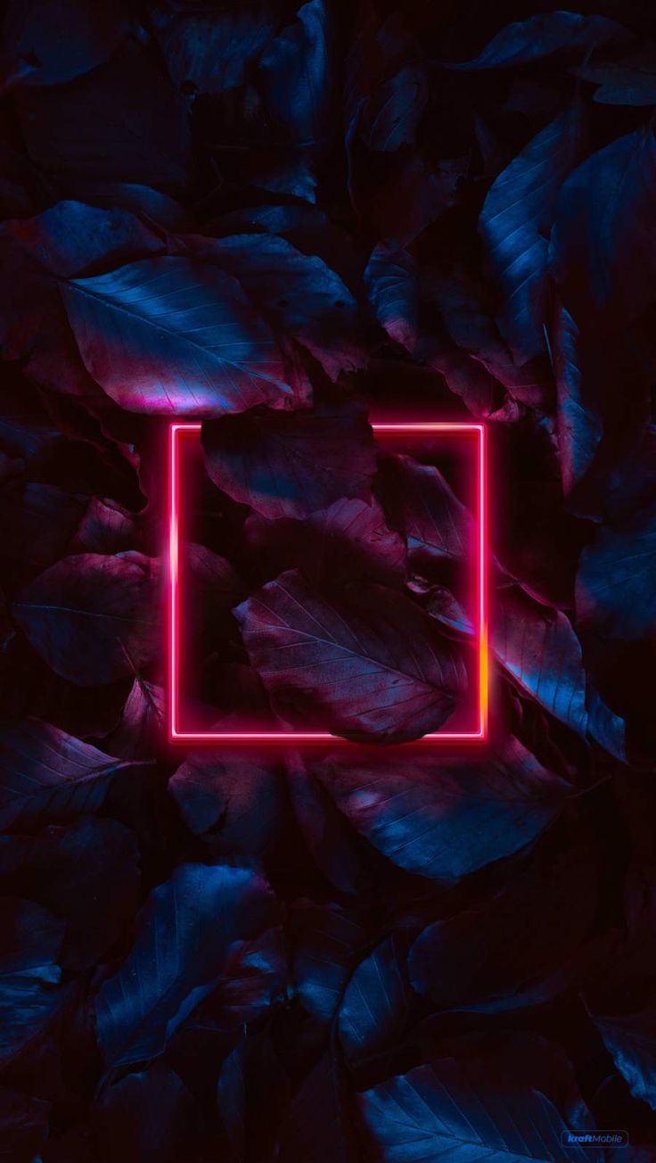 iPhone Wallpaper for iPhone 8, iPhone 8 Plus, iPhone 6s, iPhone 6s Plus, iPhone X and iPod Touch. Nature iphone wallpaper, Wallpaper iphone neon, Neon wallpaper