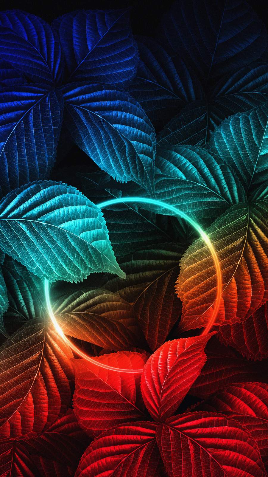 Nature Neon IPhone Wallpaper Wallpaper, iPhone Wallpaper