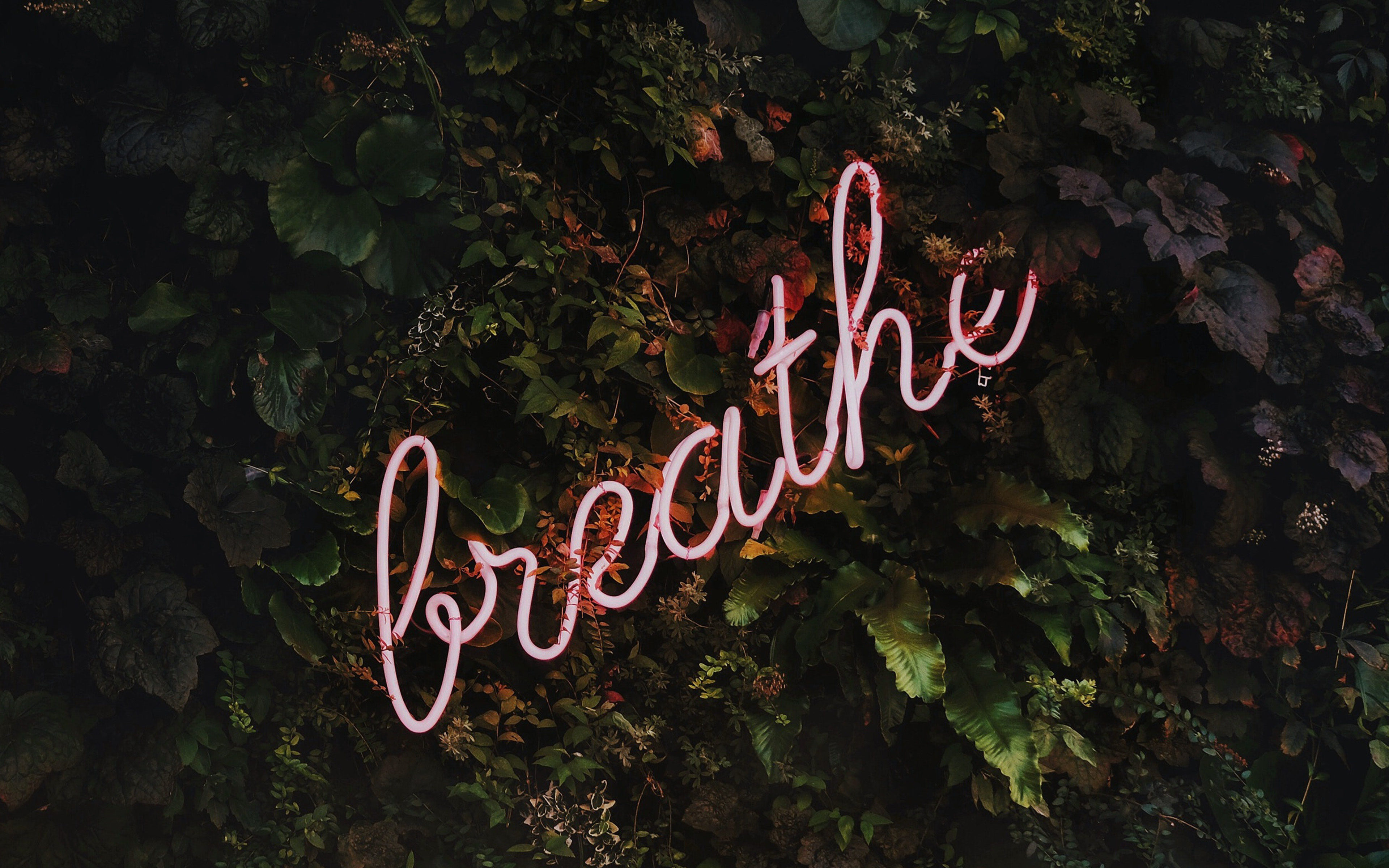 Breathe Mountain Tree Nature Neon Wallpaper