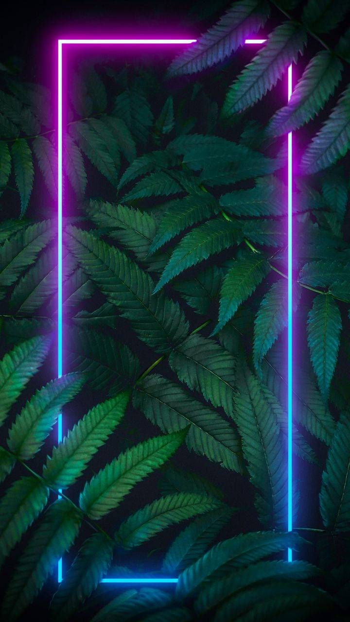 Aurora Season Mountains iPhone Wallpaper Wallpaper, iPhone Wallpaper. iPhone wallpaper photo, Nature iphone wallpaper, Wallpaper iphone neon