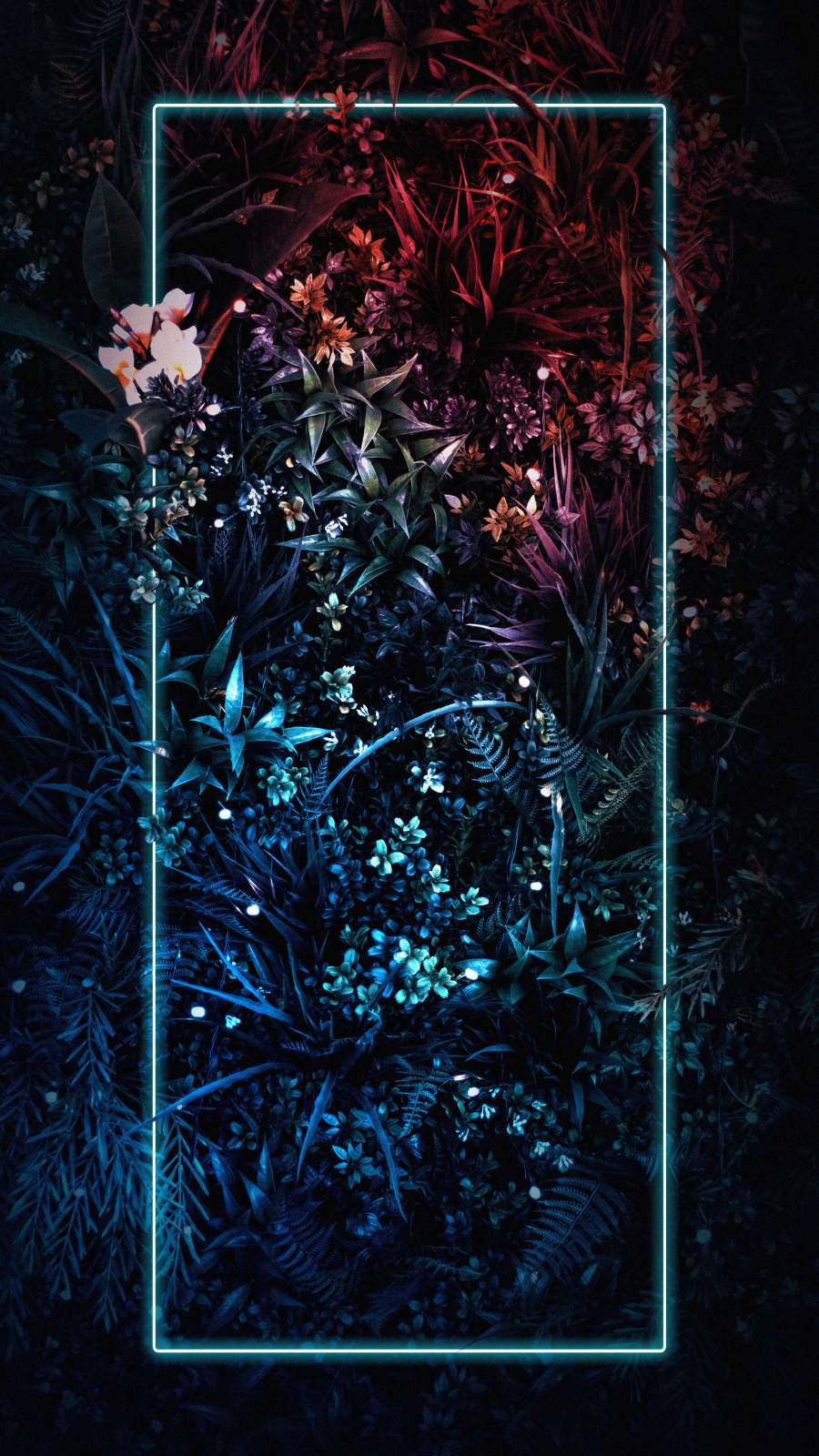Neon Light Plants Nature Wallpaper, iPhone Wallpaper