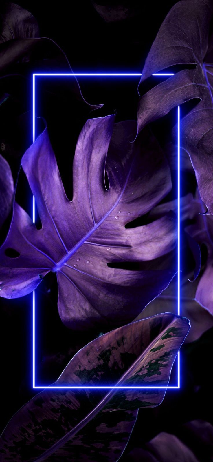 Neon wallpaper 4k. Neon wallpaper, Wallpaper nature flowers, Dark wallpaper. Neon wallpaper, Wallpaper nature flowers, Aesthetic desktop wallpaper