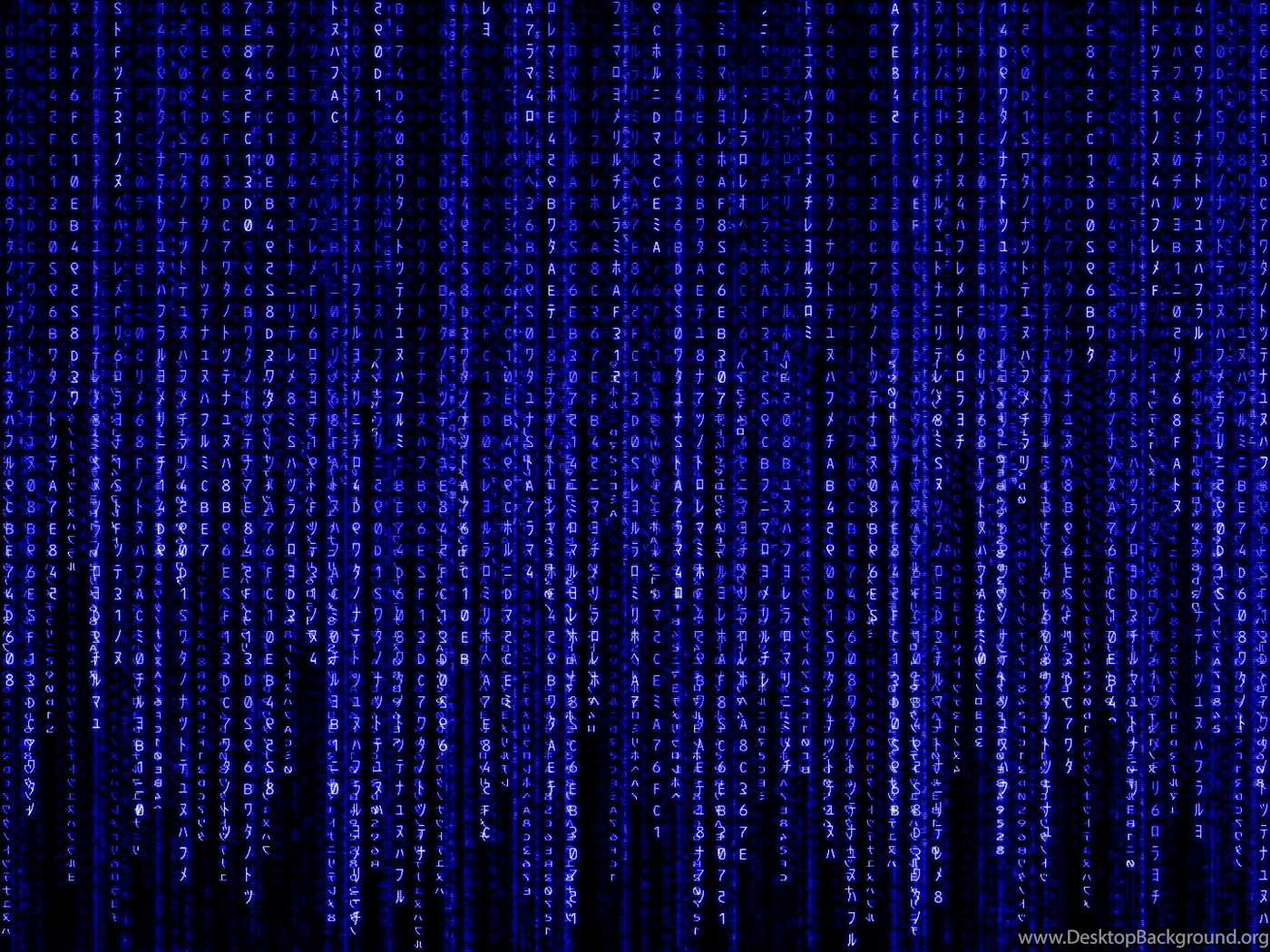 Blue Matrix Wallpaper 1892 1920 X 1080 WallpaperLayer.com Desktop Background
