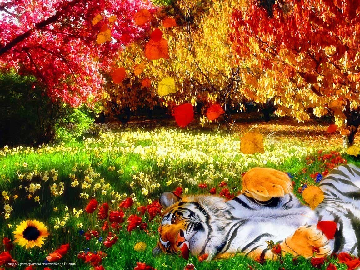 Download Wallpaper Tiger, Nature, Bright Colors, Heat Desktop Wallpaper Full Screen Nature