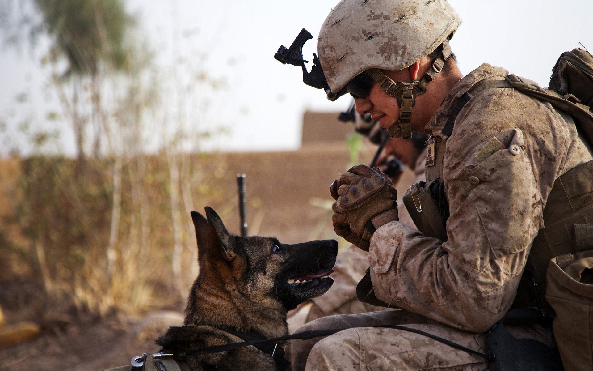 soldier, Dog, Mood, Military, People, Friend, Warrior, Warriors Wallpaper HD / Desktop and Mobile Background