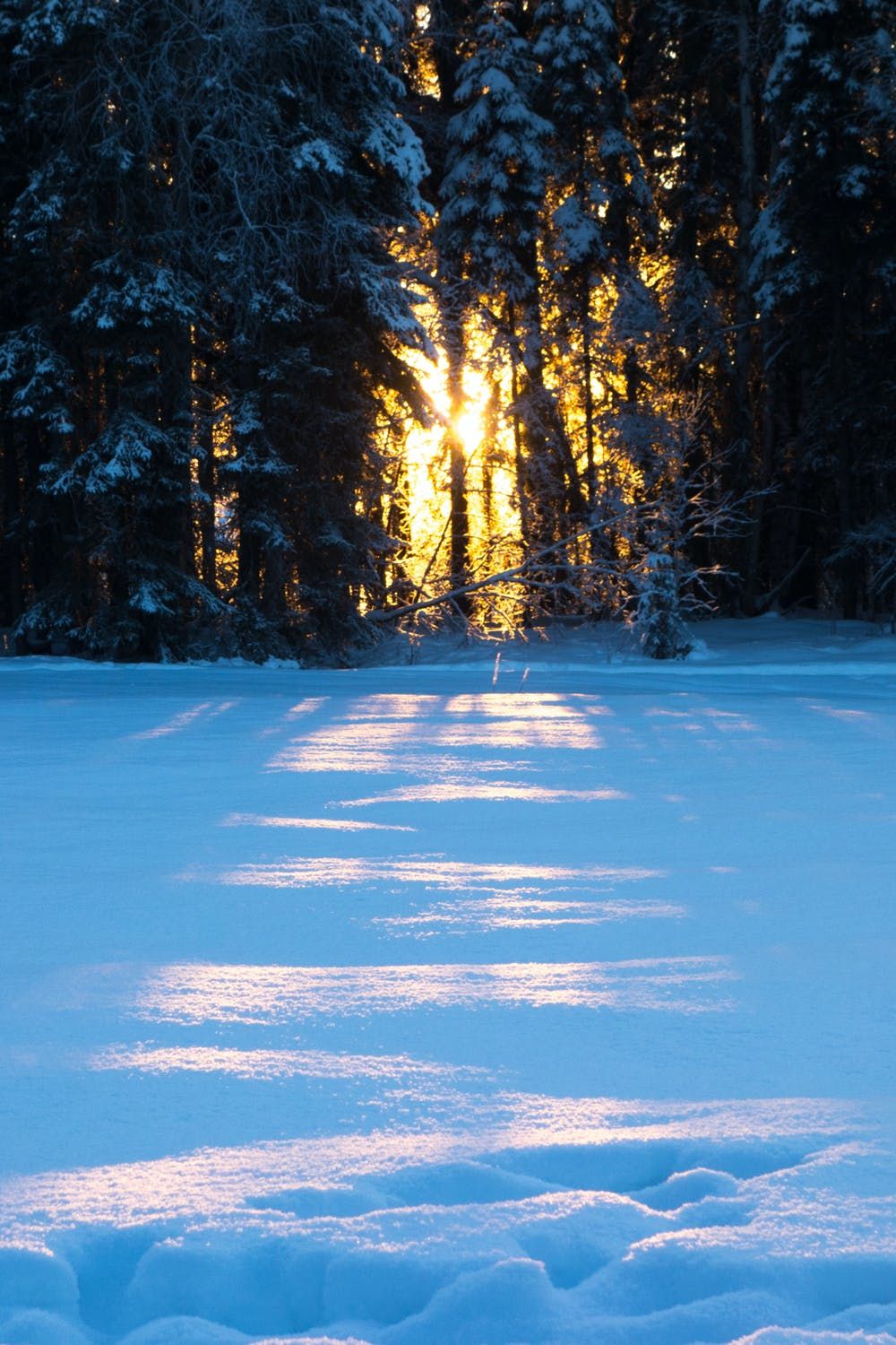 Free Beautiful Winter Wallpaper For iPhone That You'll Love. Winter scenery, iPhone wallpaper winter, Winter wallpaper