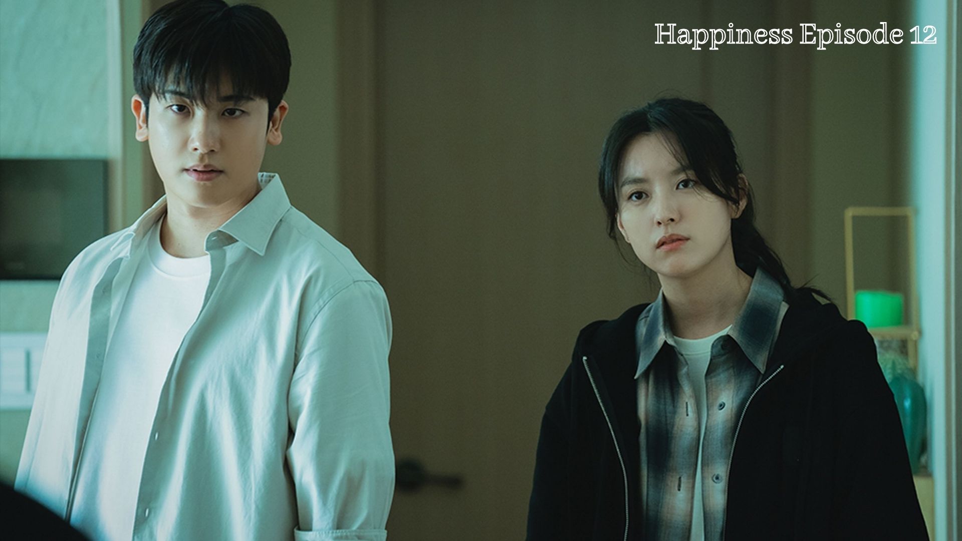 Does The Happiness Kdrama Have A Happy Ending?