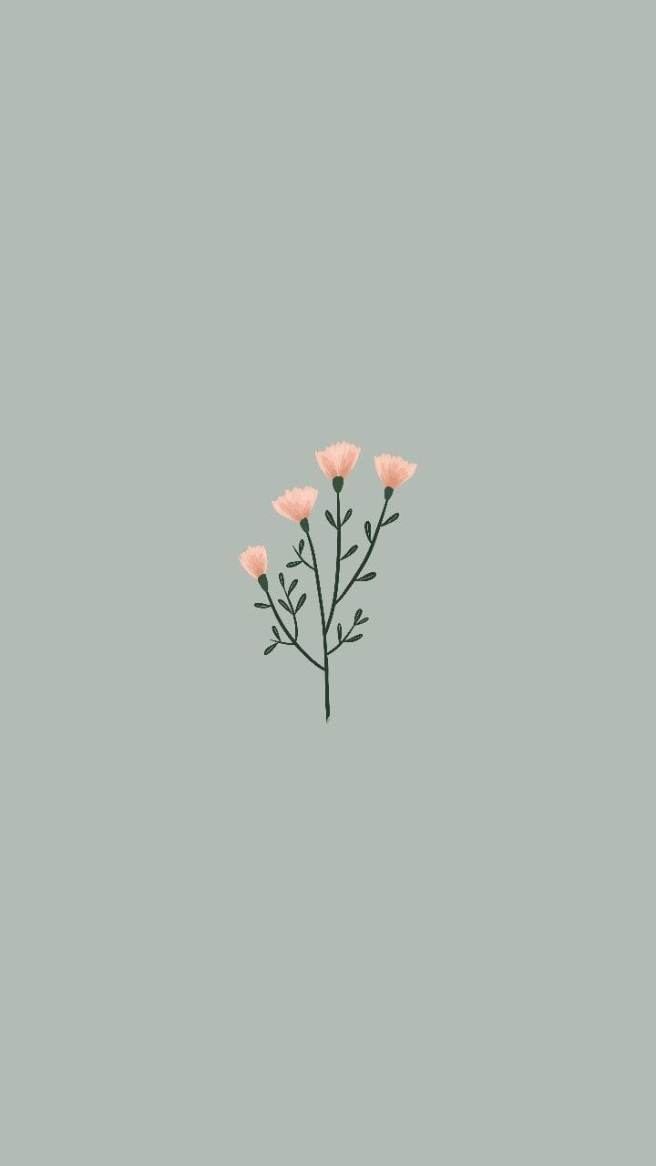BackGround. Cute simple wallpaper, Simple iphone wallpap. Cute simple wallpaper, Simple iphone wallpaper, Flower phone wallpaper