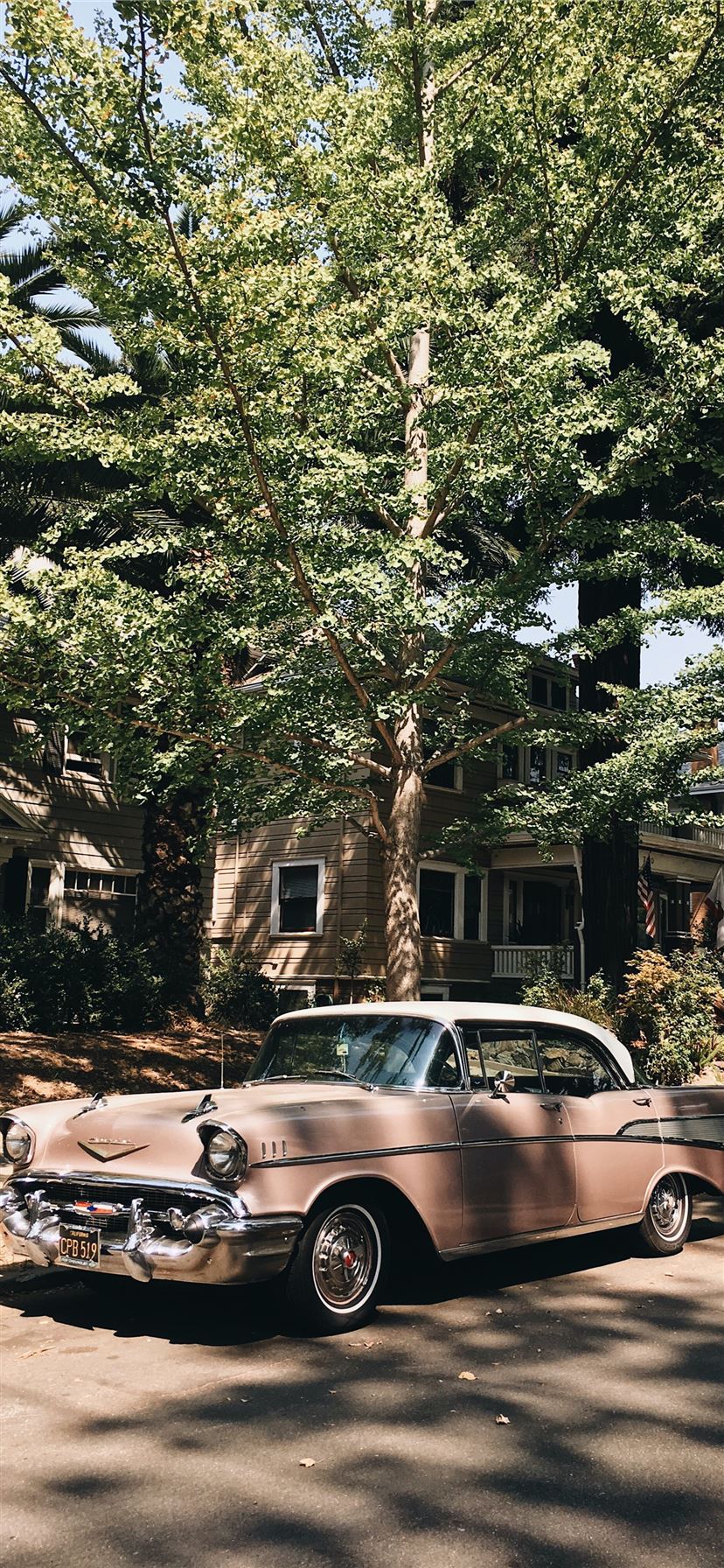 vintage pink sedan parked in front of tree iPhone 11 Wallpaper Free Download