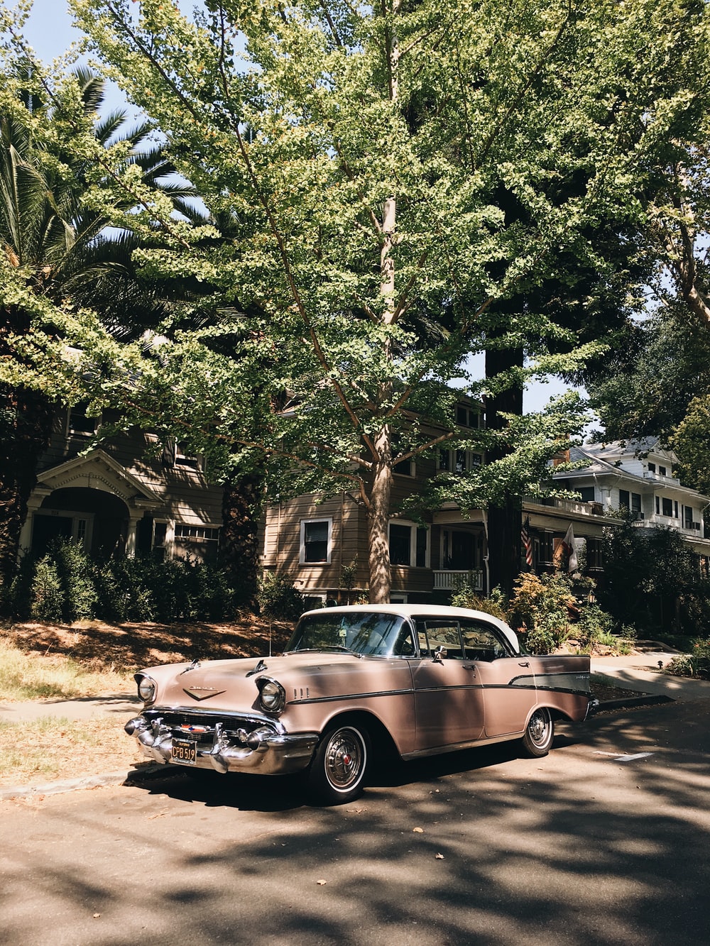 vintage pink sedan parked in front of tree photo