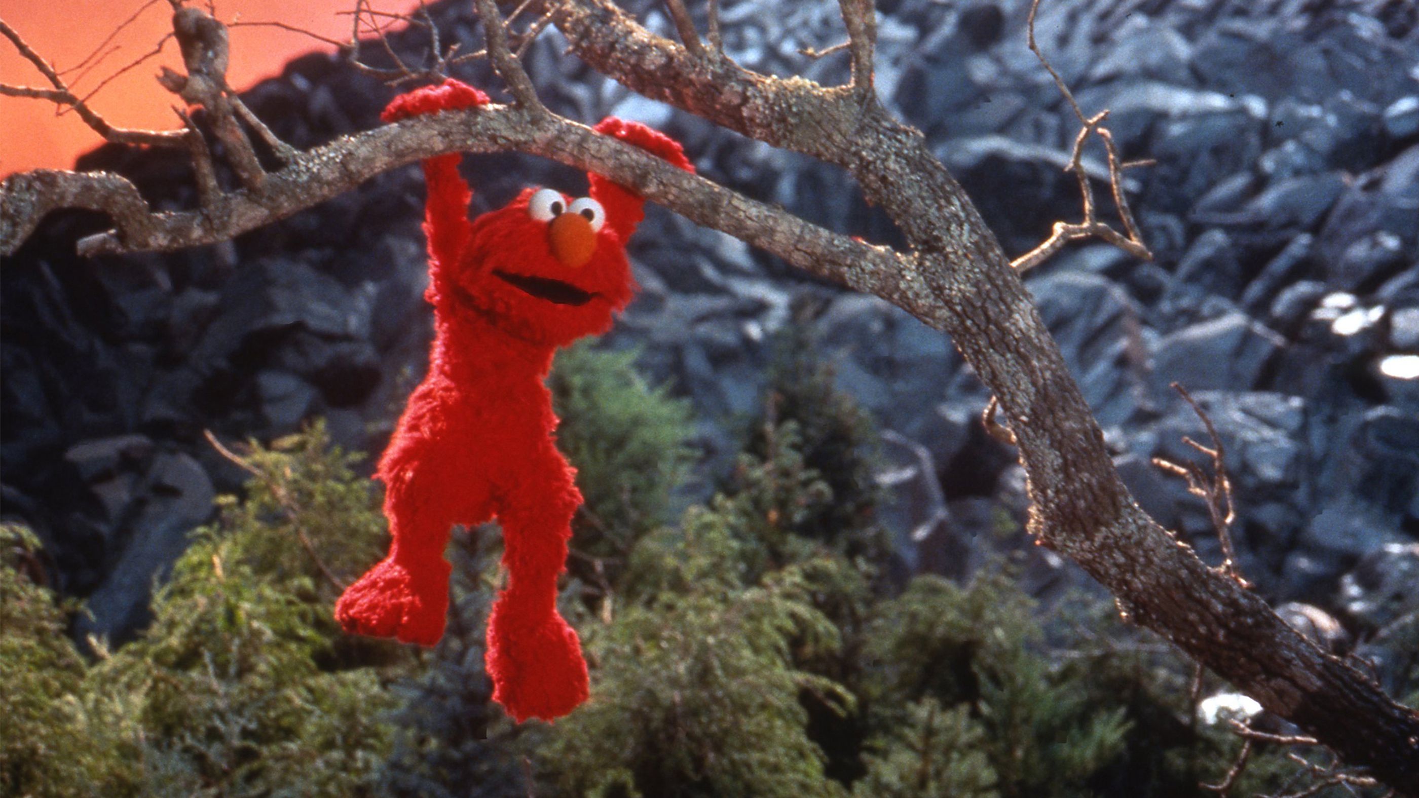 The Adventures Of Elmo In Grouchland Wallpapers - Wallpaper Cave