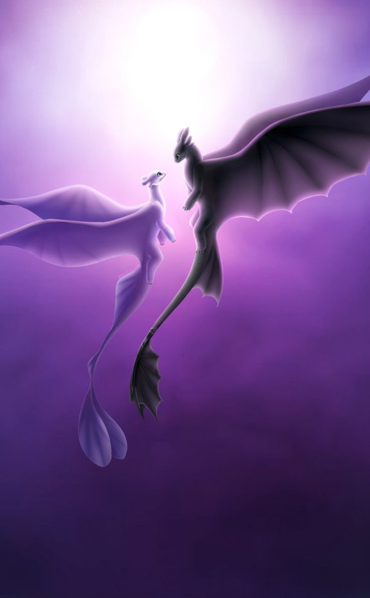Toothless and light fury, romantic, love, Dragons, 950x1534 wallpaper. How train your dragon, How to train your dragon, Dragon wallpaper iphone