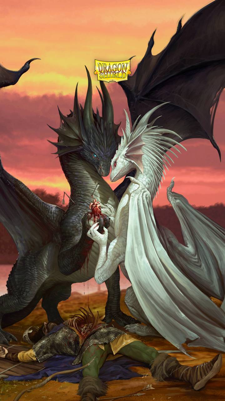 Love Dragon Wallpaper Free Love Dragon Background