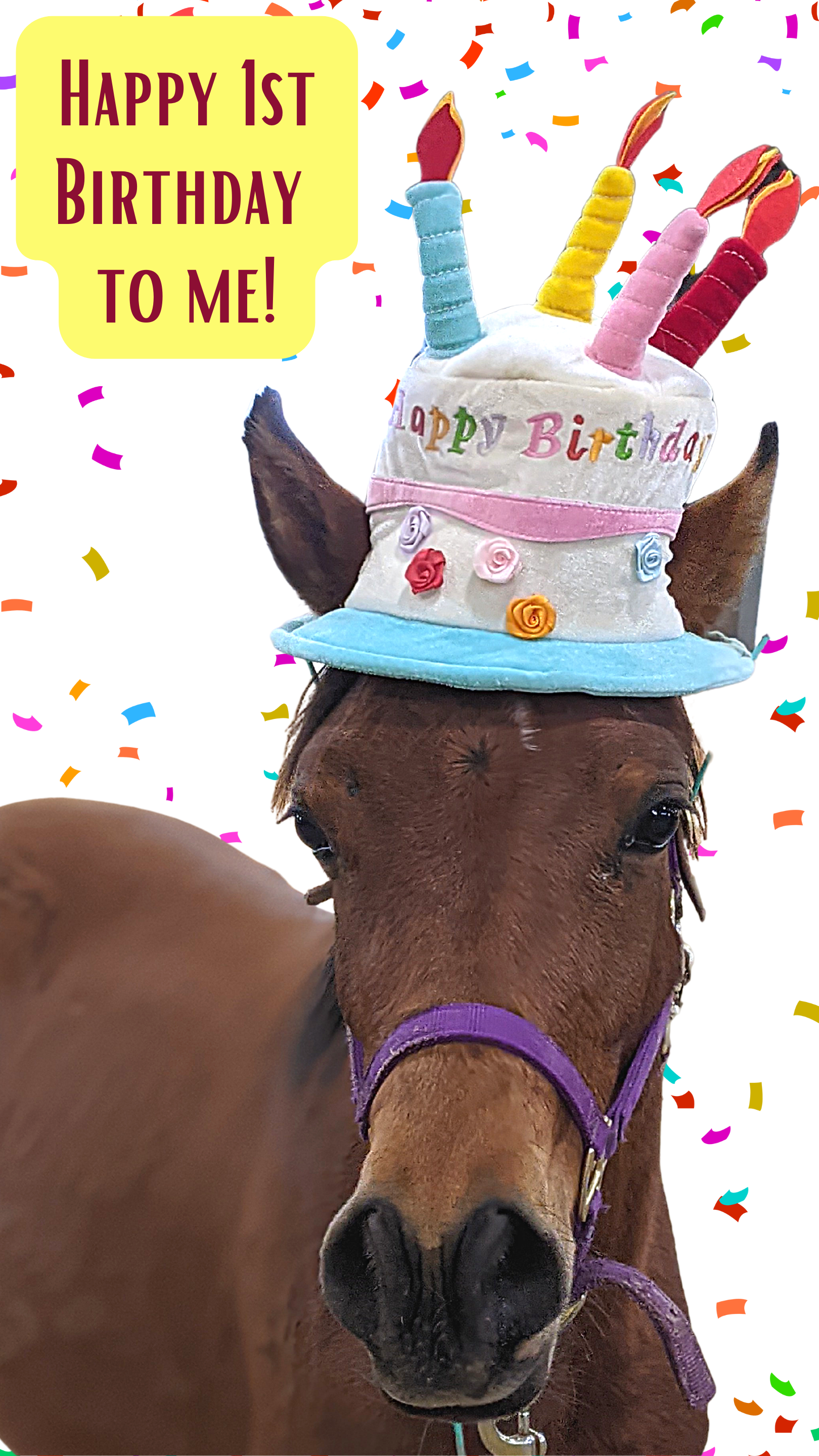 Little B Updates • MSSPA