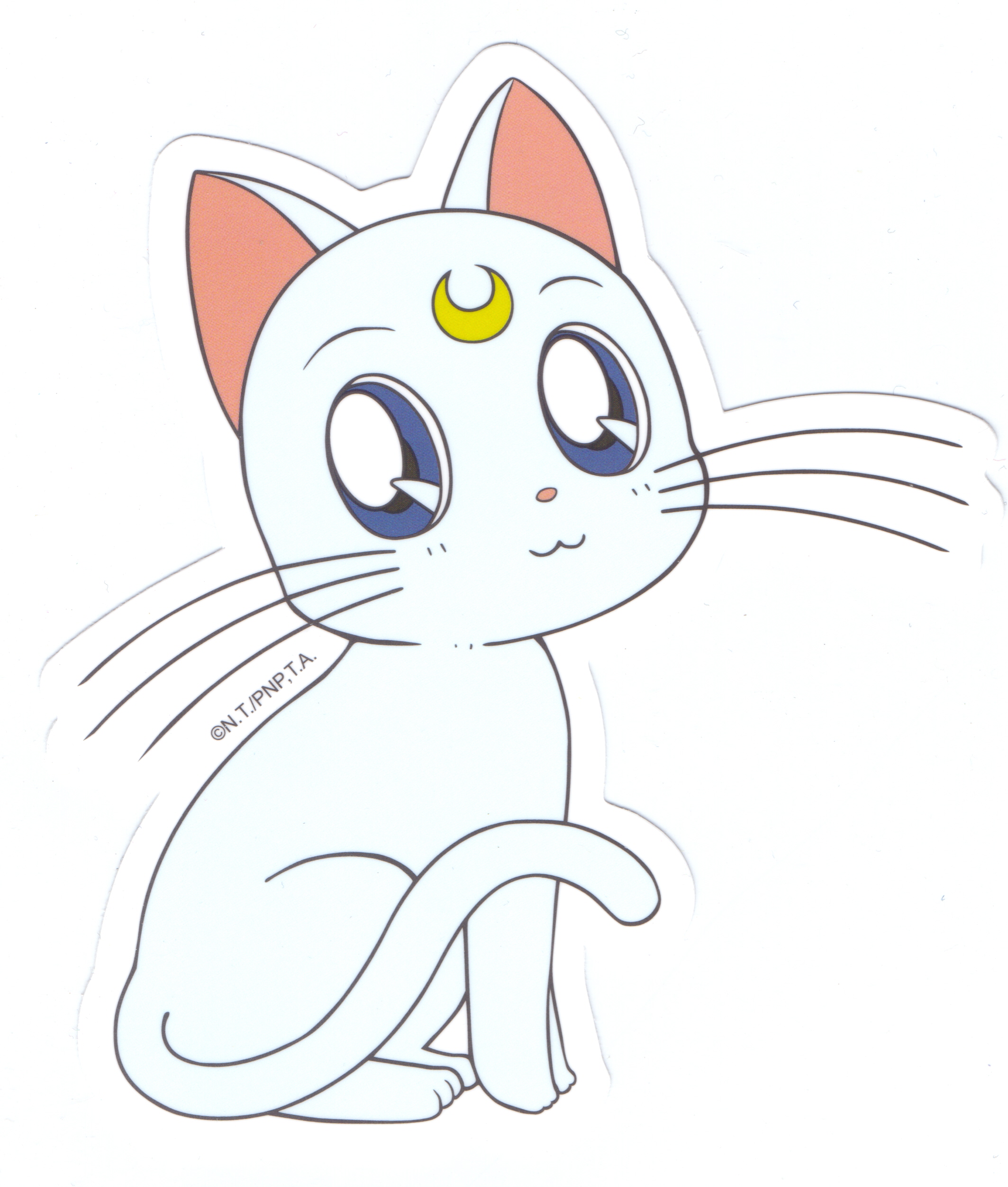 Artemis (Sailor Moon) Senshi Sailor Moon Anime Image Board