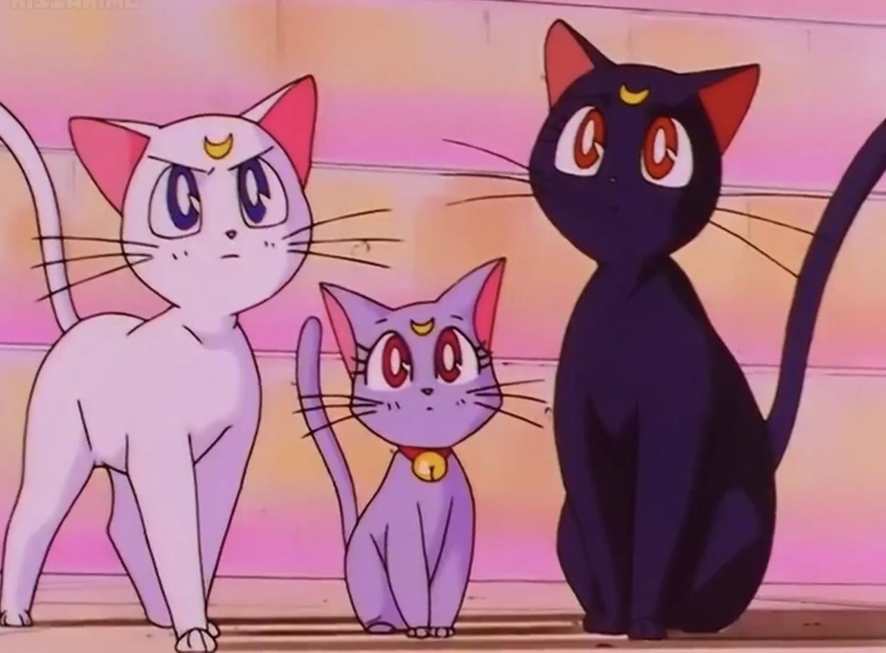 Artemis, Diana, Luna. Sailor Moon. Sailor moon cat, Sailor moon wallpaper, Diana sailor moon