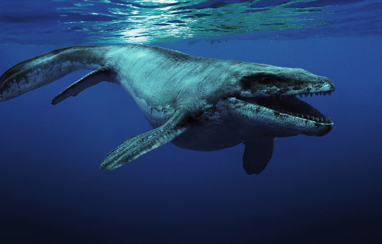 Wallpaper ocean, creature, Kronosaurus, prehistoric animal image for desktop, section рендеринг
