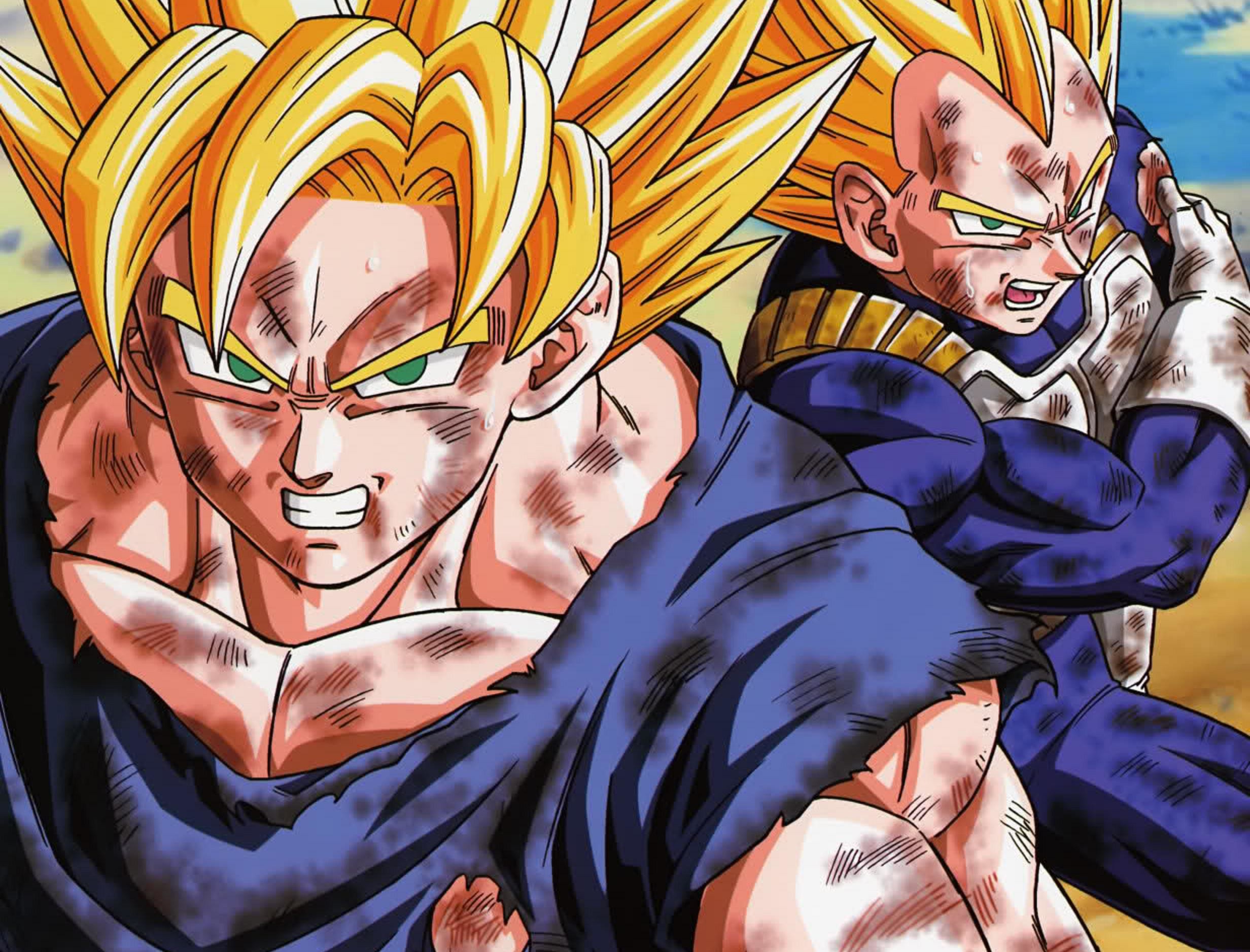 Dbz Wallpaper Goku and Vegeta