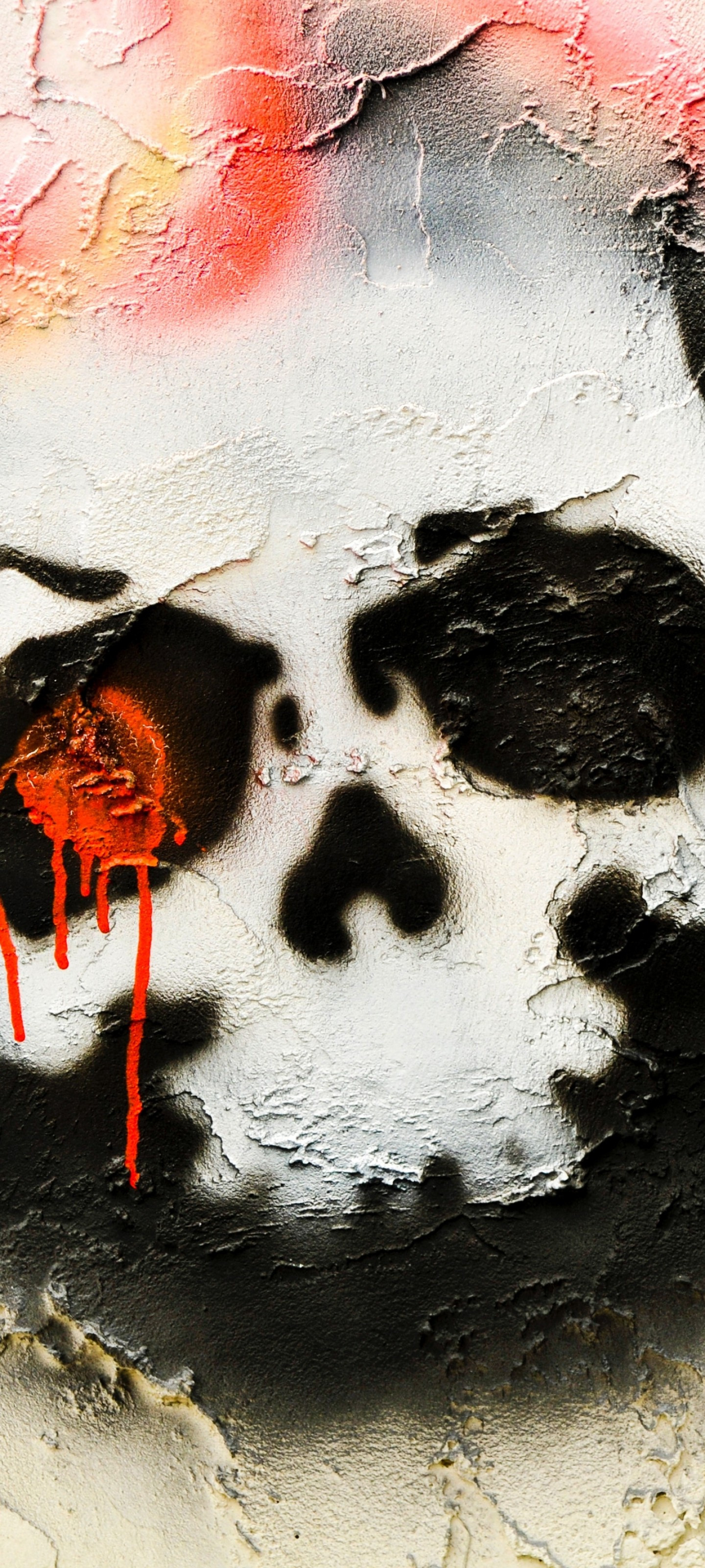 Download 1440x3200 Skull, Graffiti, Street Art Wallpaper for Samsung Galaxy S20 Ultra, Samsung Galaxy SPlus, Samsung Galaxy S20