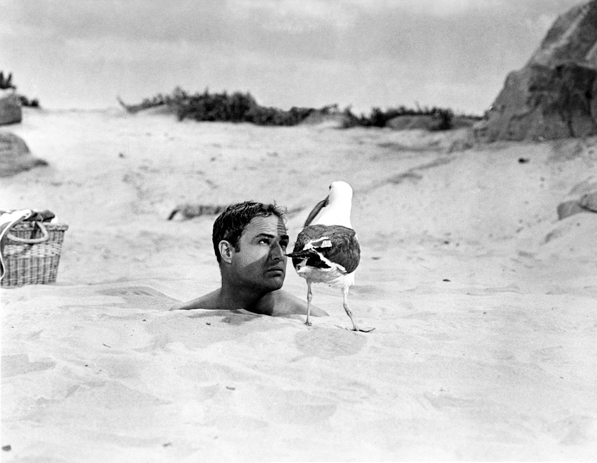 Vintage Photo of Celebrities on Holiday That Will Make You Want One Even More