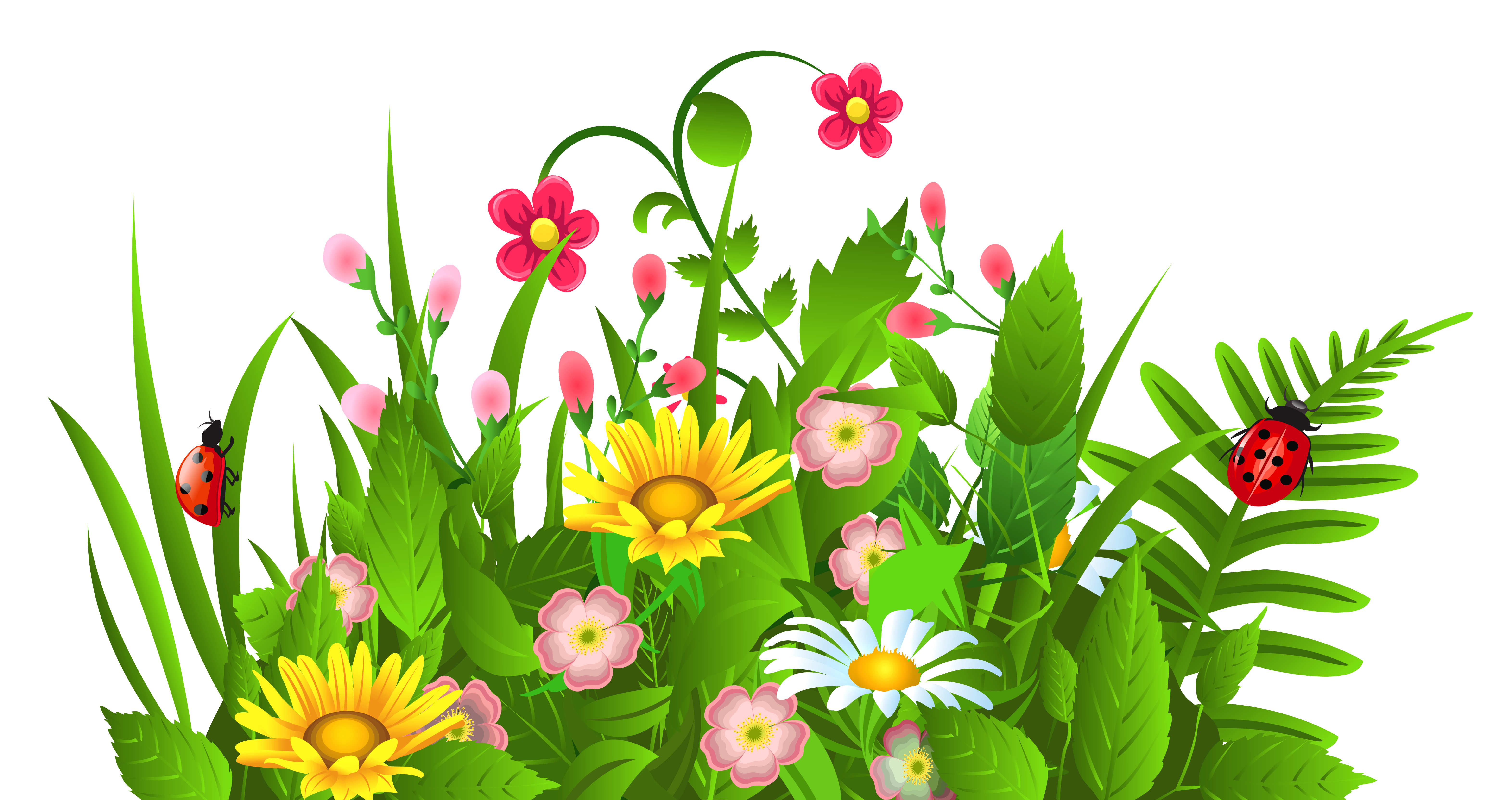 Cute Grass and Flowers PNG Clipart. Flower coloring pages, Flower phone wallpaper, Flower art