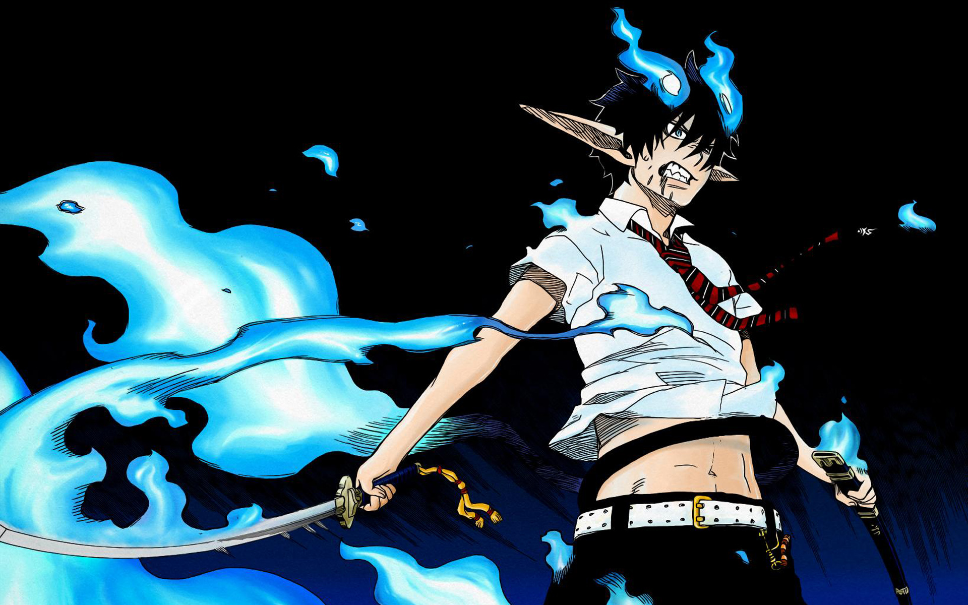 Blue Exorcist Demon Rin