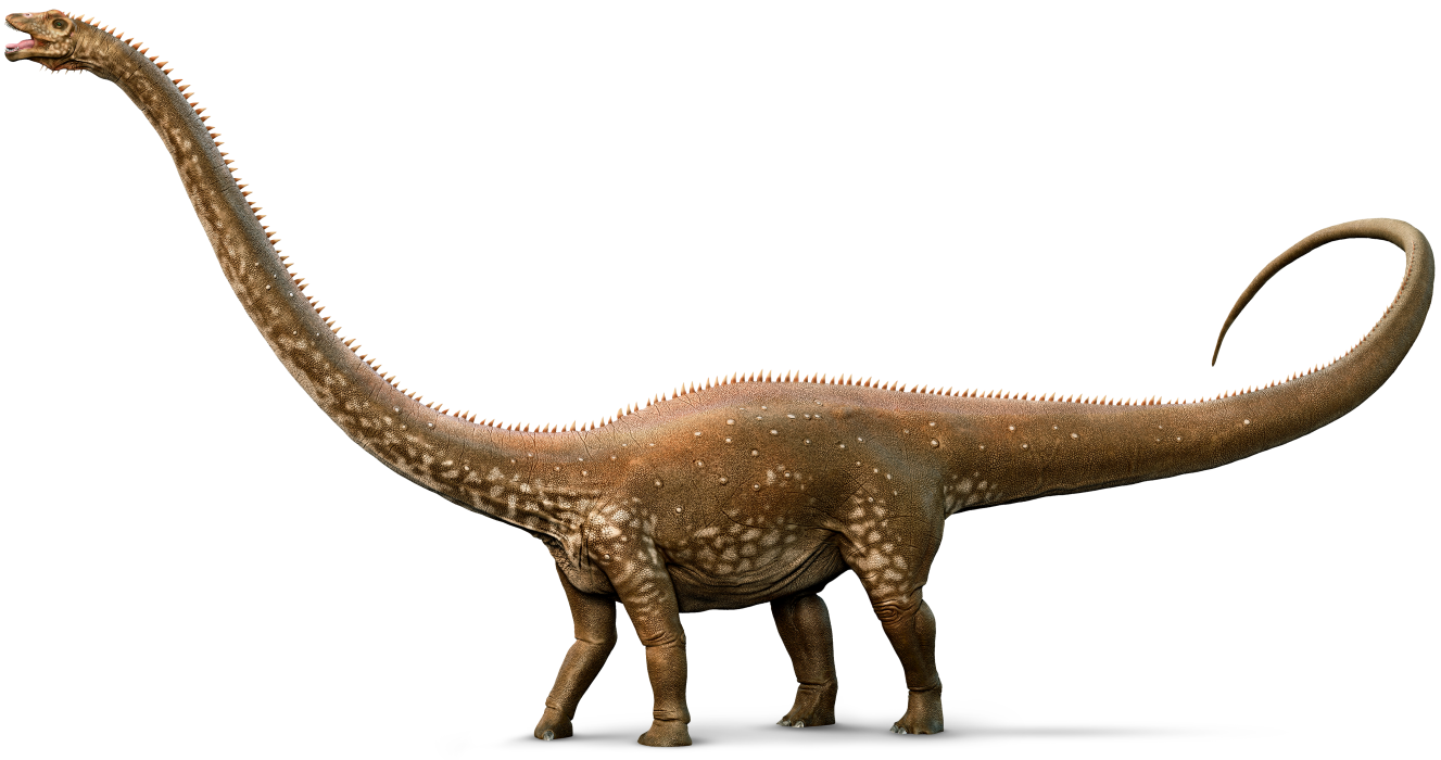 Diplodocus ideas. diplodocus, prehistoric, dinosaur