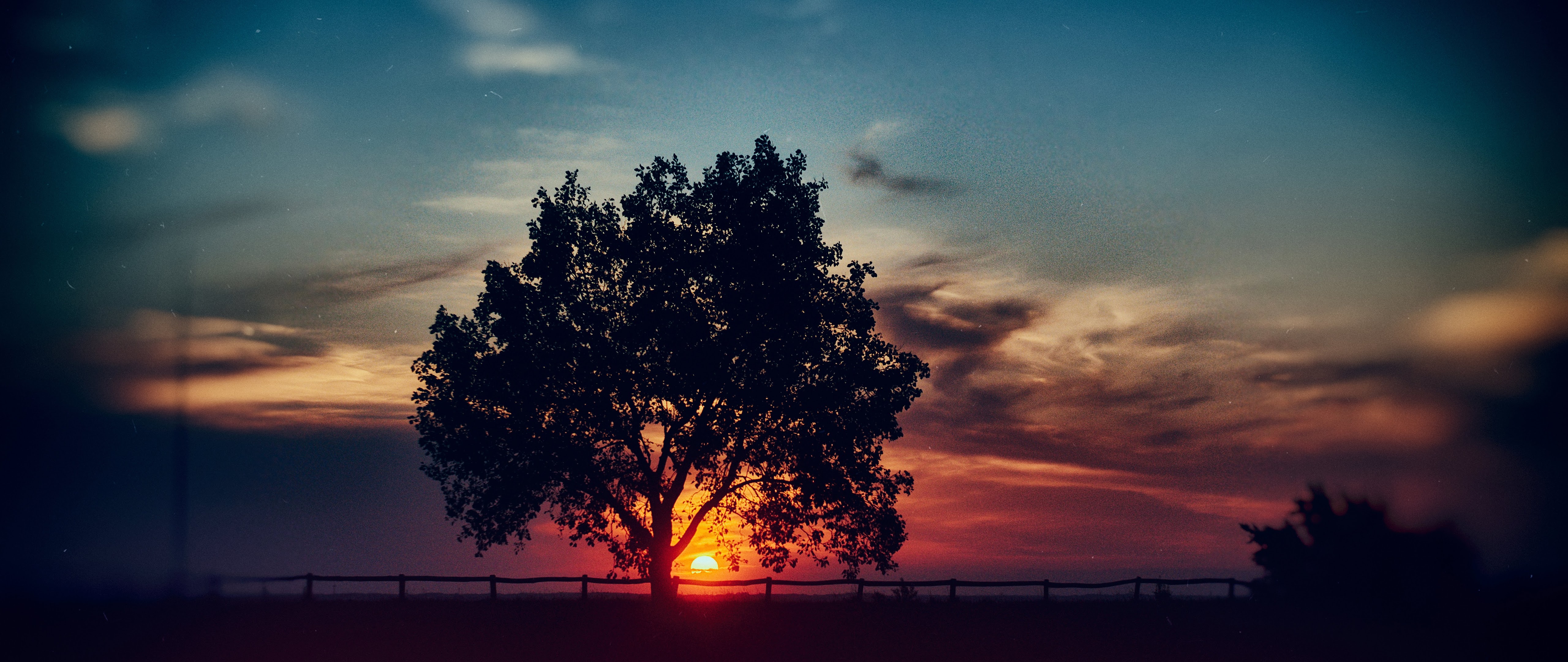 Sunset Scenery Tree Landscape Nature 8K Wallpaper