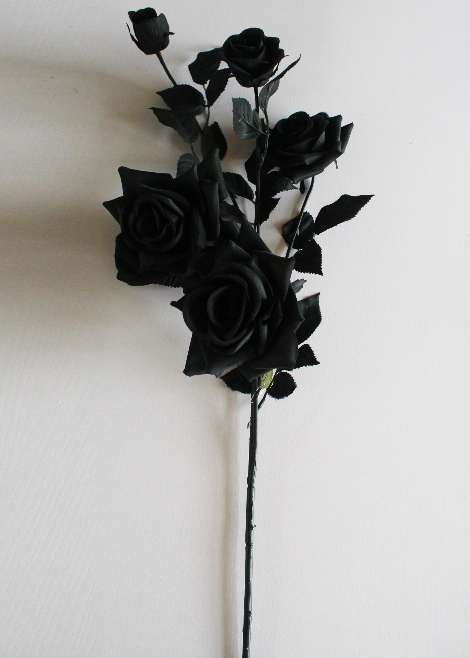 Black Rose Photo, Awesome, Black, Natural, Rose, Wallpaper, Flowers
