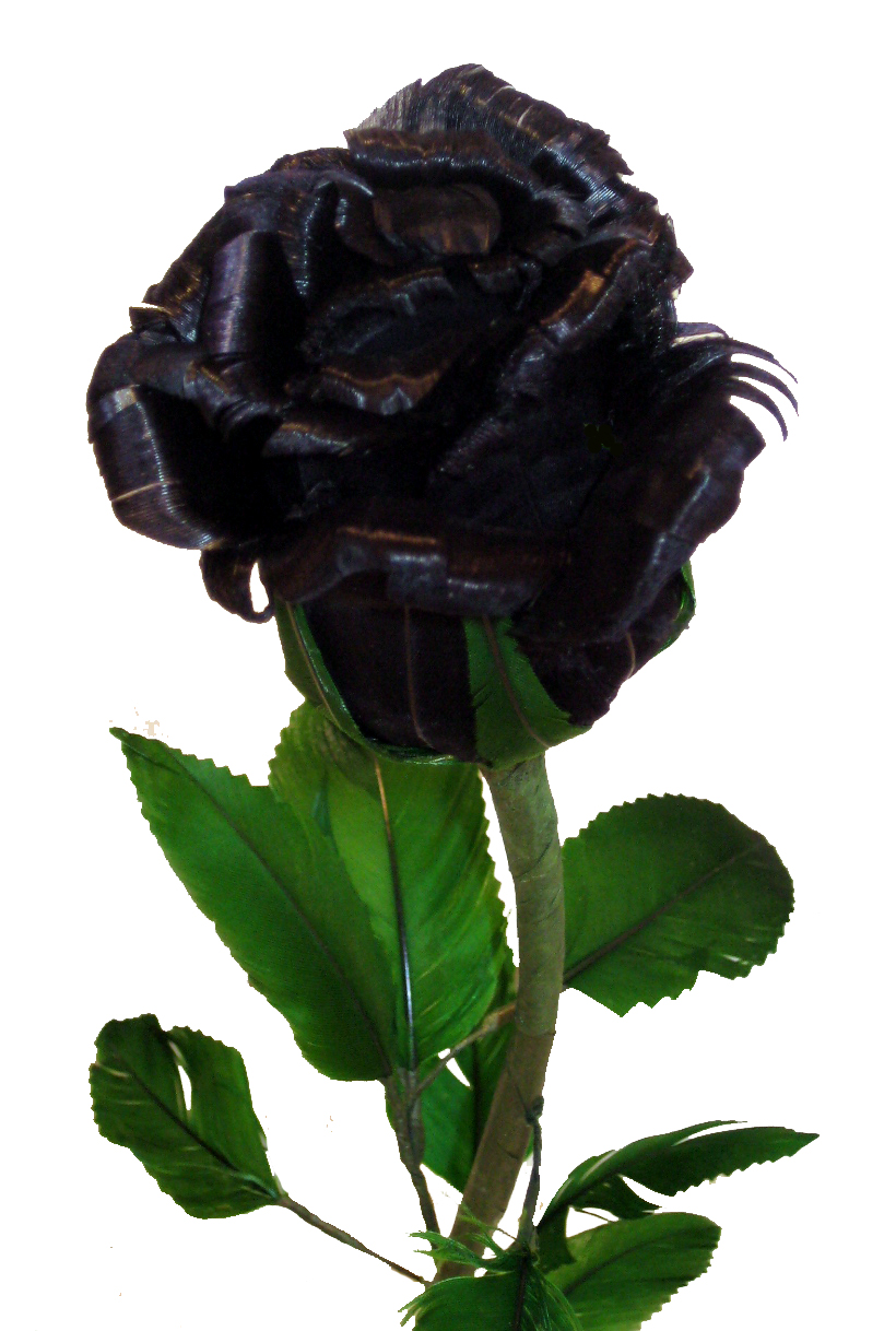 Free download Black Rose Flower [820x1218] for your Desktop, Mobile & Tablet. Explore Black Rose Wallpaper Image. Black Roses Wallpaper, Black And White Rose Wallpaper, Dark Red Roses Wallpaper