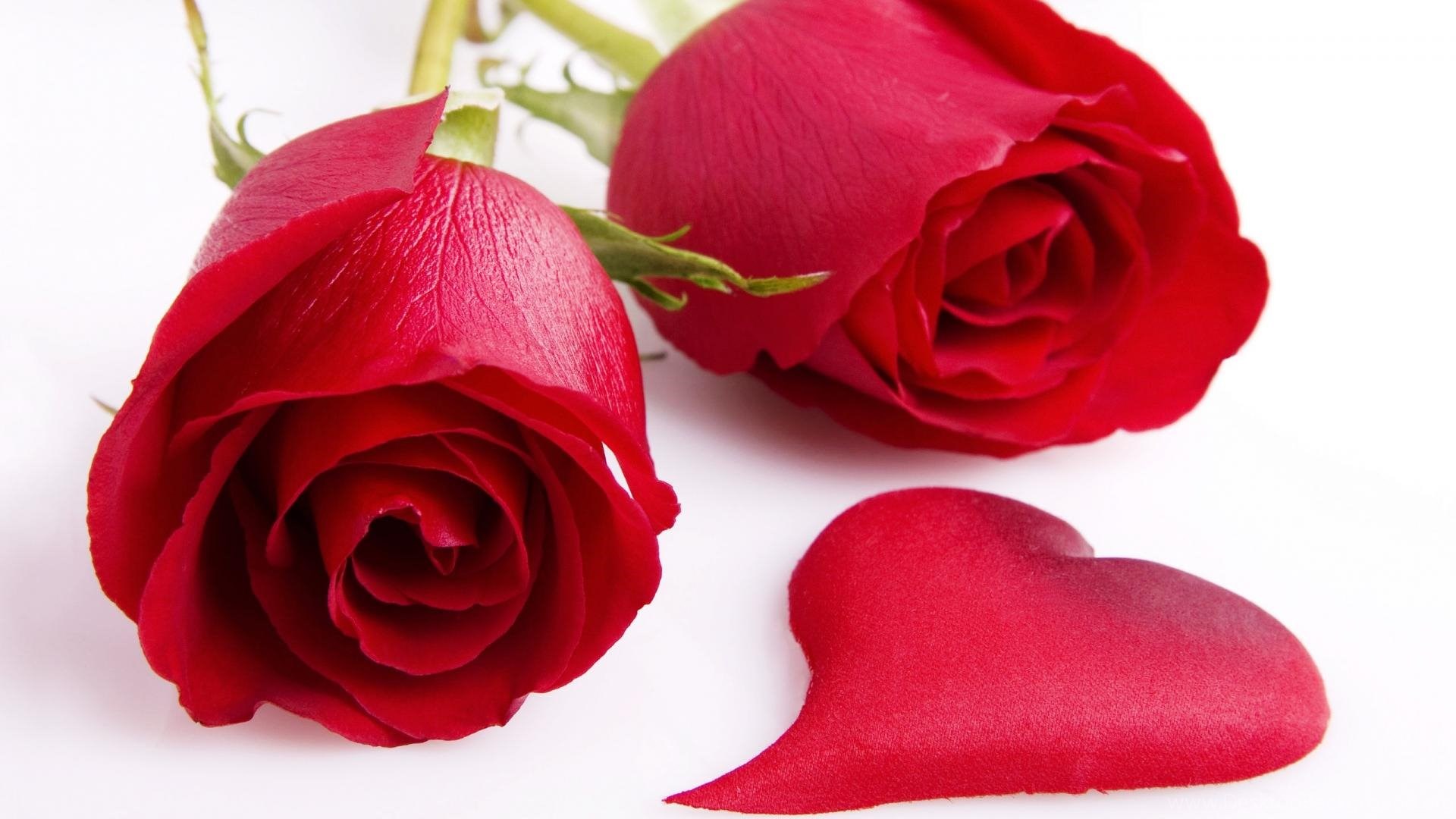 Red Roses And Single Heart Wallpaper HD Love Desktop Background