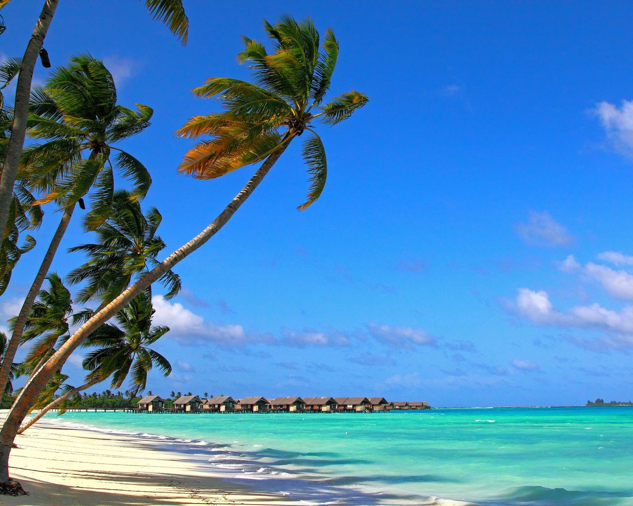 Download wallpaper 1280x1024 maldives, tropical, beach, summer standard 5:4 HD background