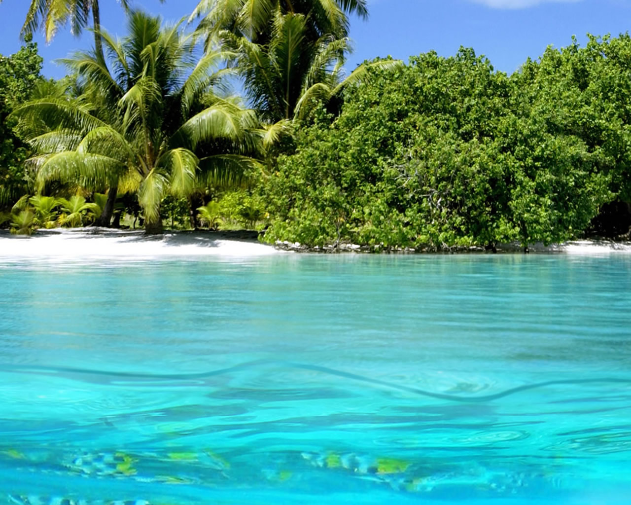 Summer Wallpaper For Desktop