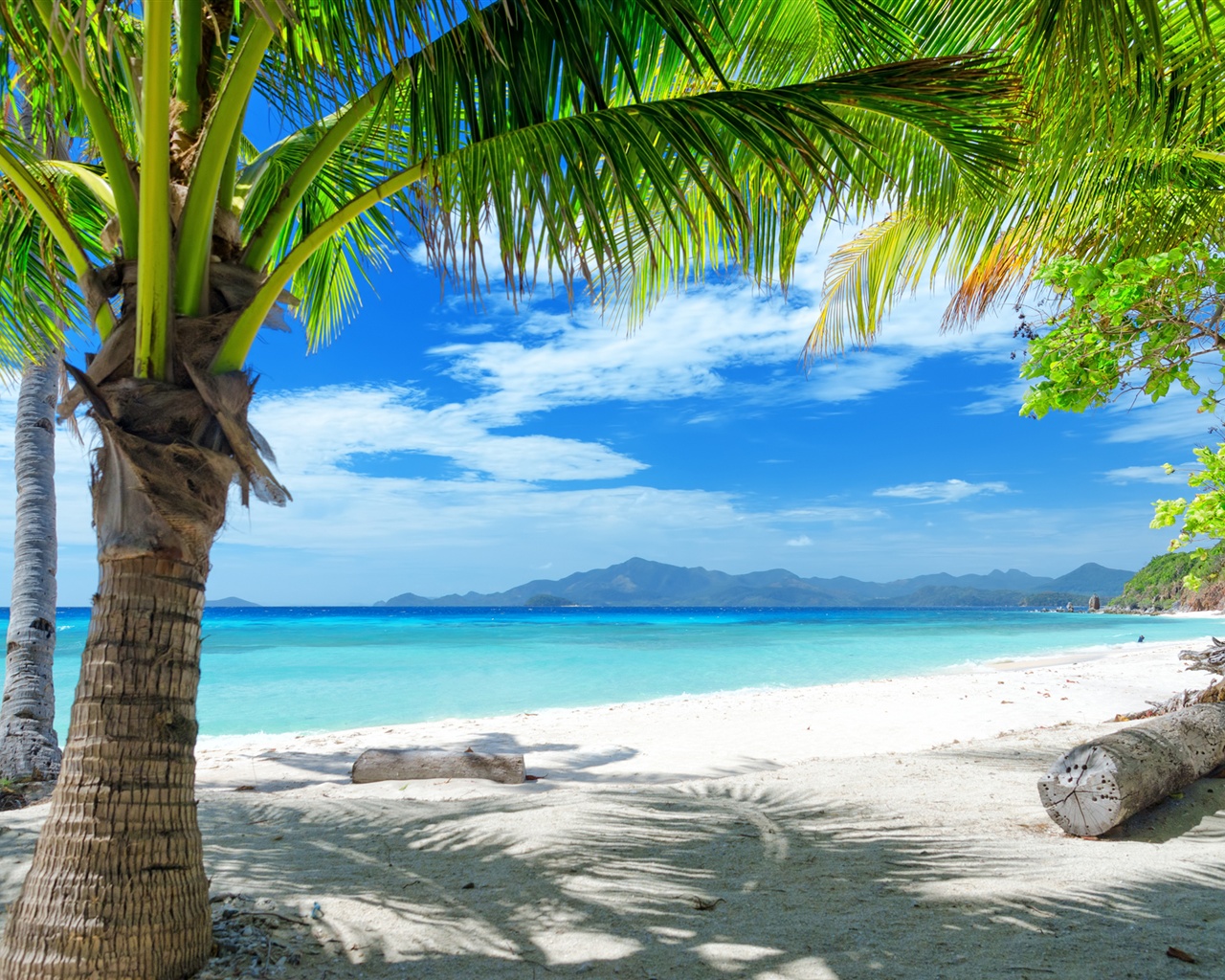 Wallpaper Summer beach, sand, palm trees 2560x1600 HD Picture, Image