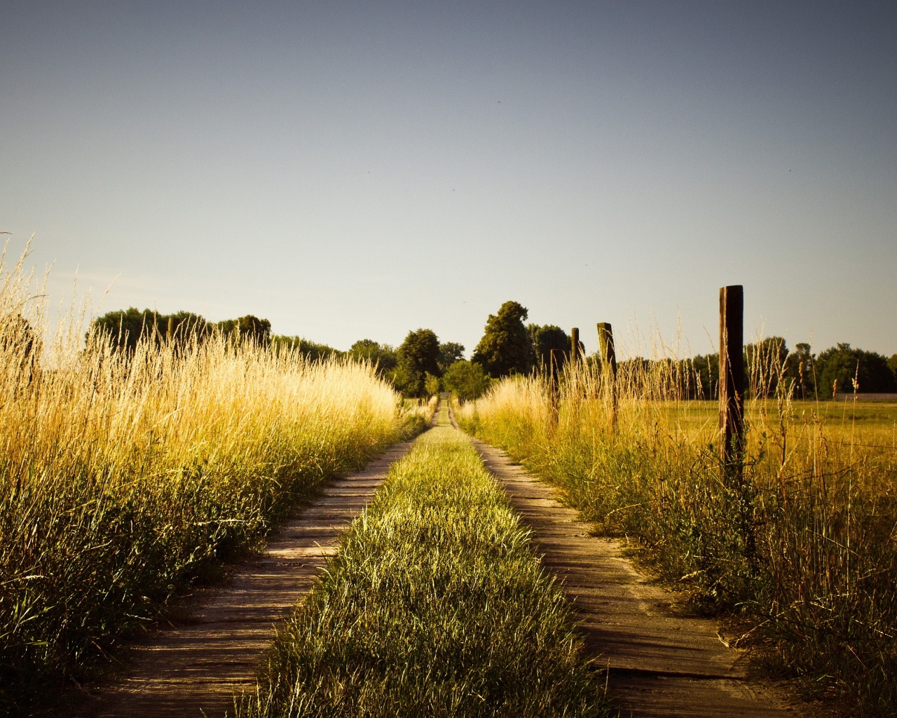 Country wallpaperx1024