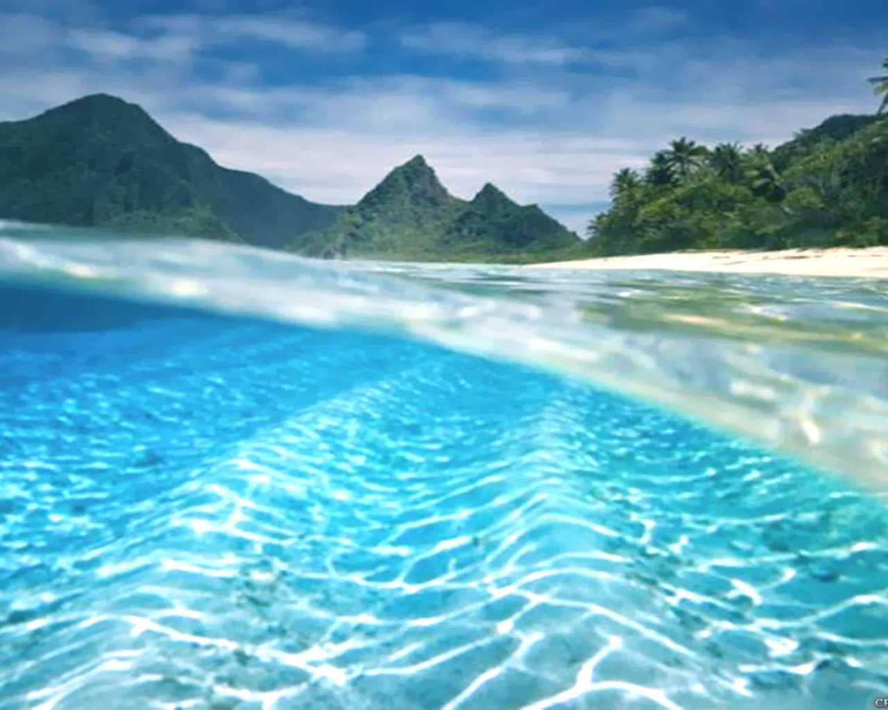 Underwater Beautiful Summer Wallpaper 2560x1440, Wallpaper13.com