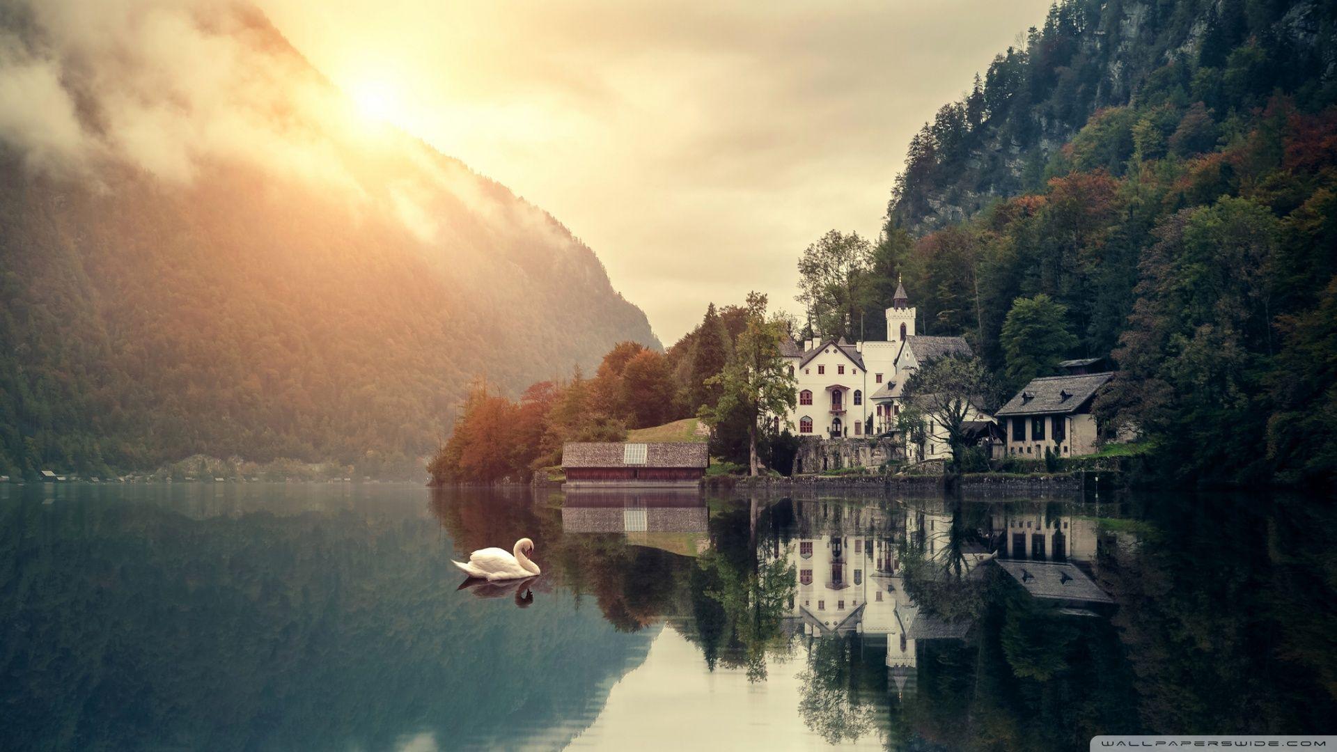 Tranquility Wallpaper