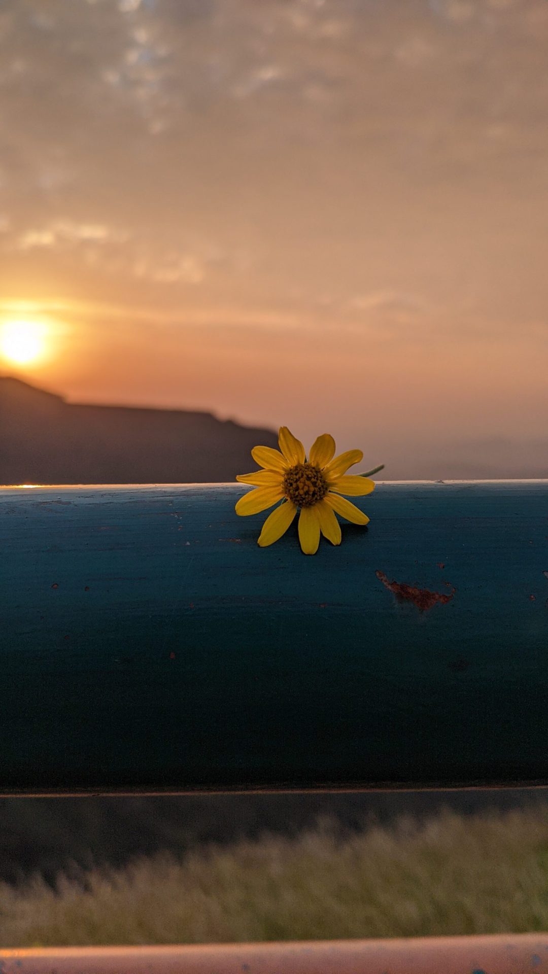 Wallpaper Wednesday: Android Wallpaper 2022 03 02